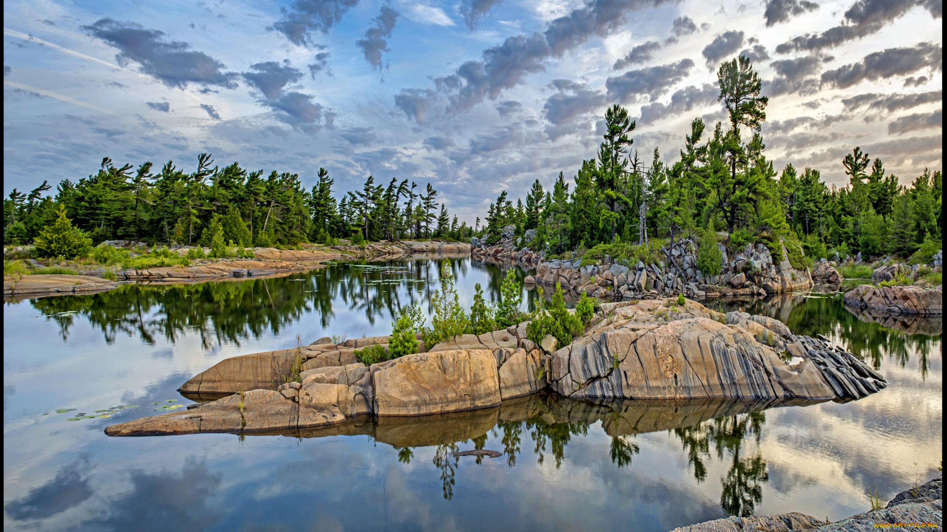 danny, island, природа, побережье, море, остров, скалы, лес, тучи