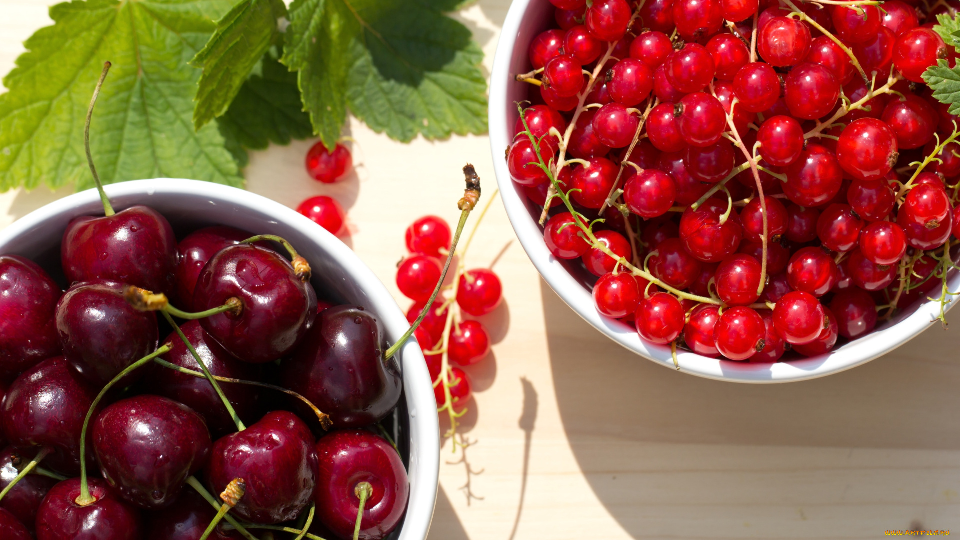еда, фрукты, ягоды, вишня, смородина