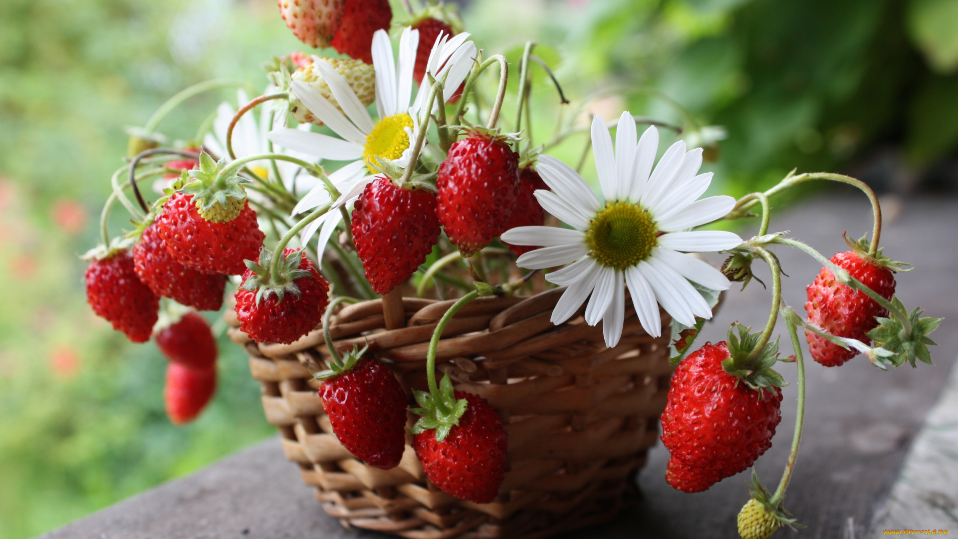 еда, клубника, земляника, цветы, ромашки, ягоды, корзинка