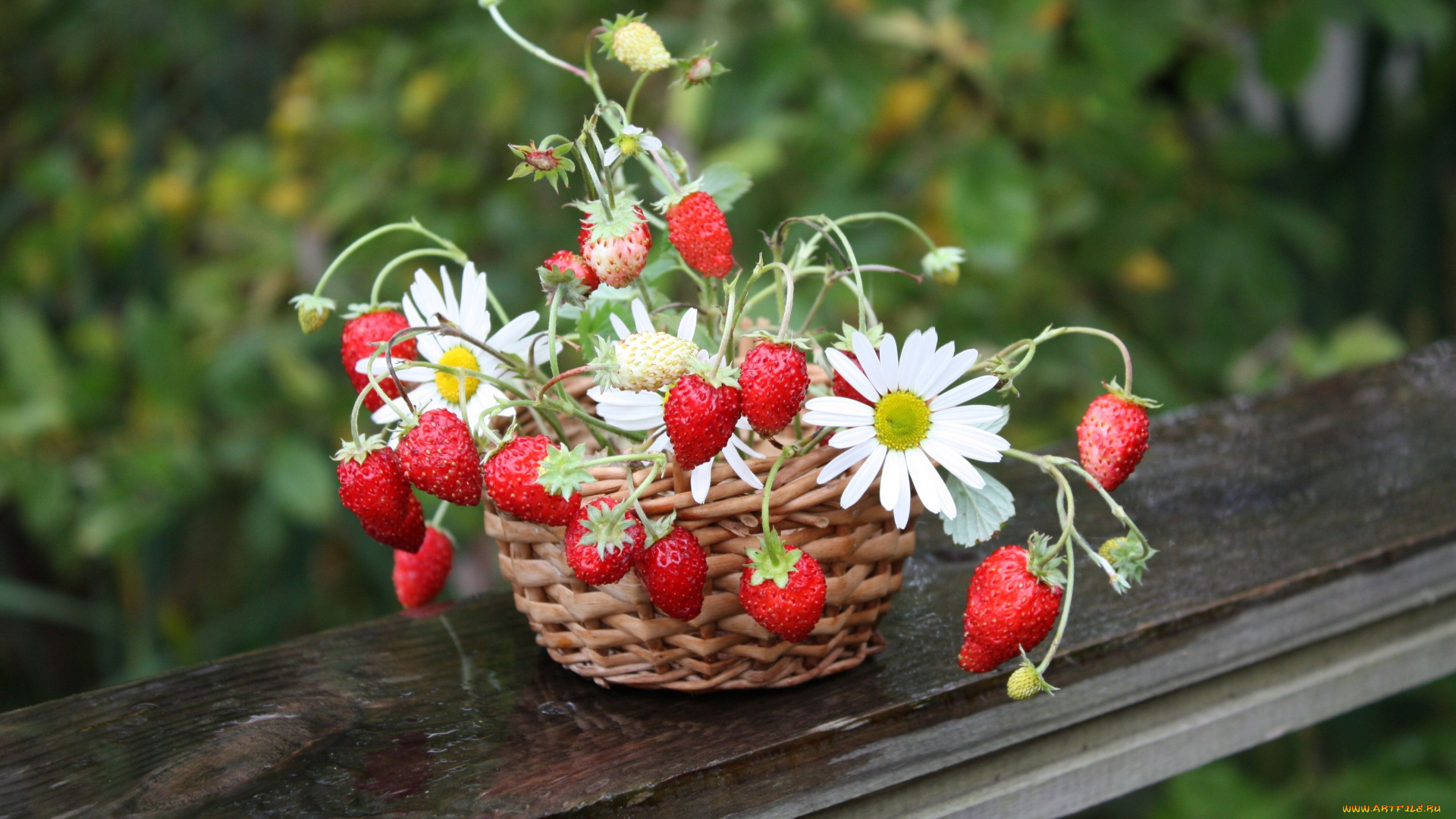 еда, клубника, земляника, корзинка, ромашки, ягоды, цветы