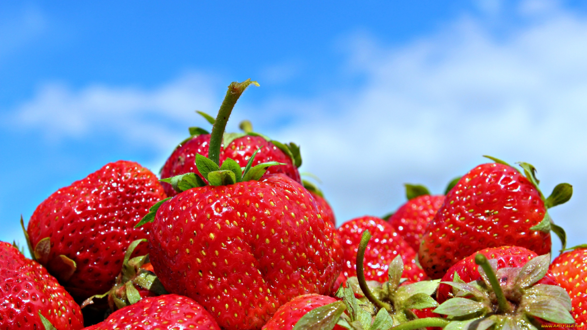 еда, клубника, земляника, небо, ягоды