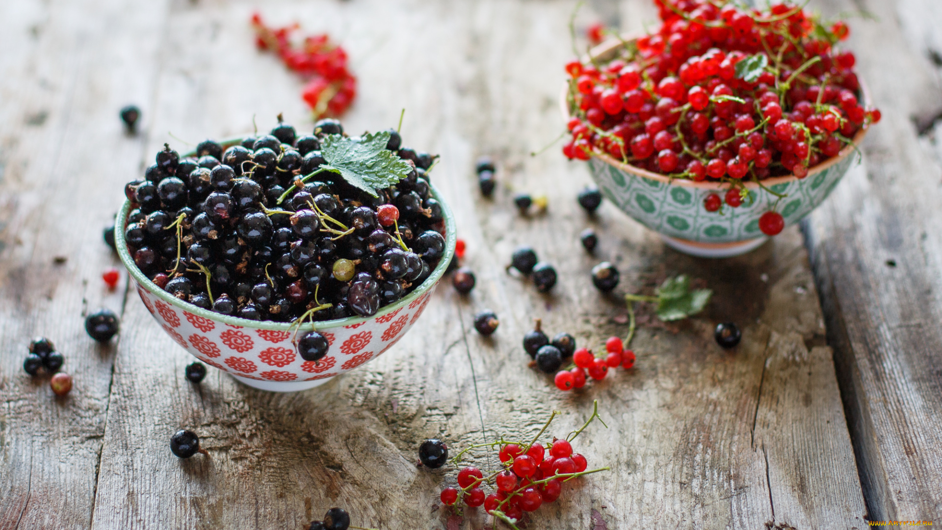 еда, смородина, красная, ягоды, чёрная