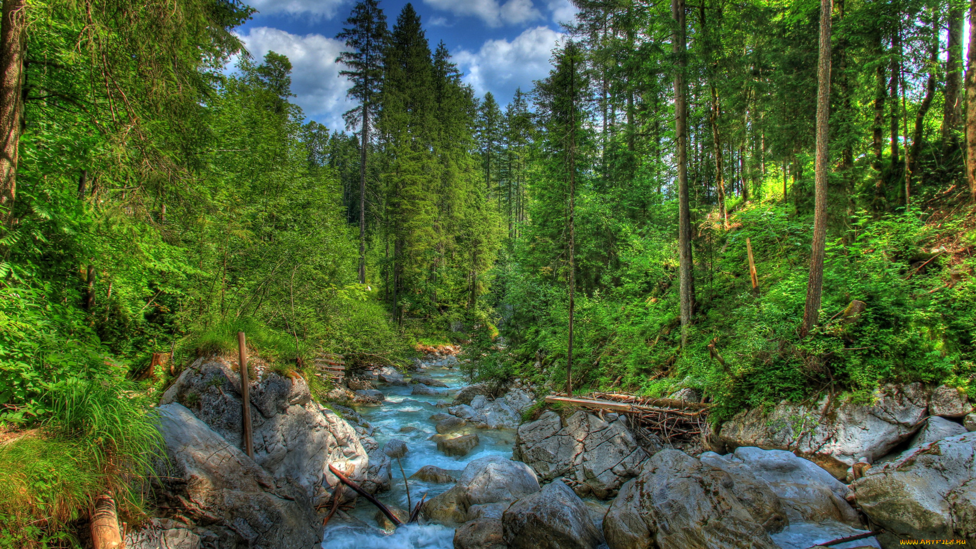 германия, бавария, рамзау, природа, лес, ручей, деревья