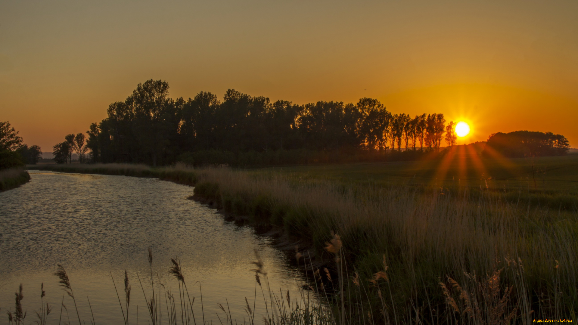 германия, беренсдорф, природа, восходы, закаты, закат, деревья, трава, река