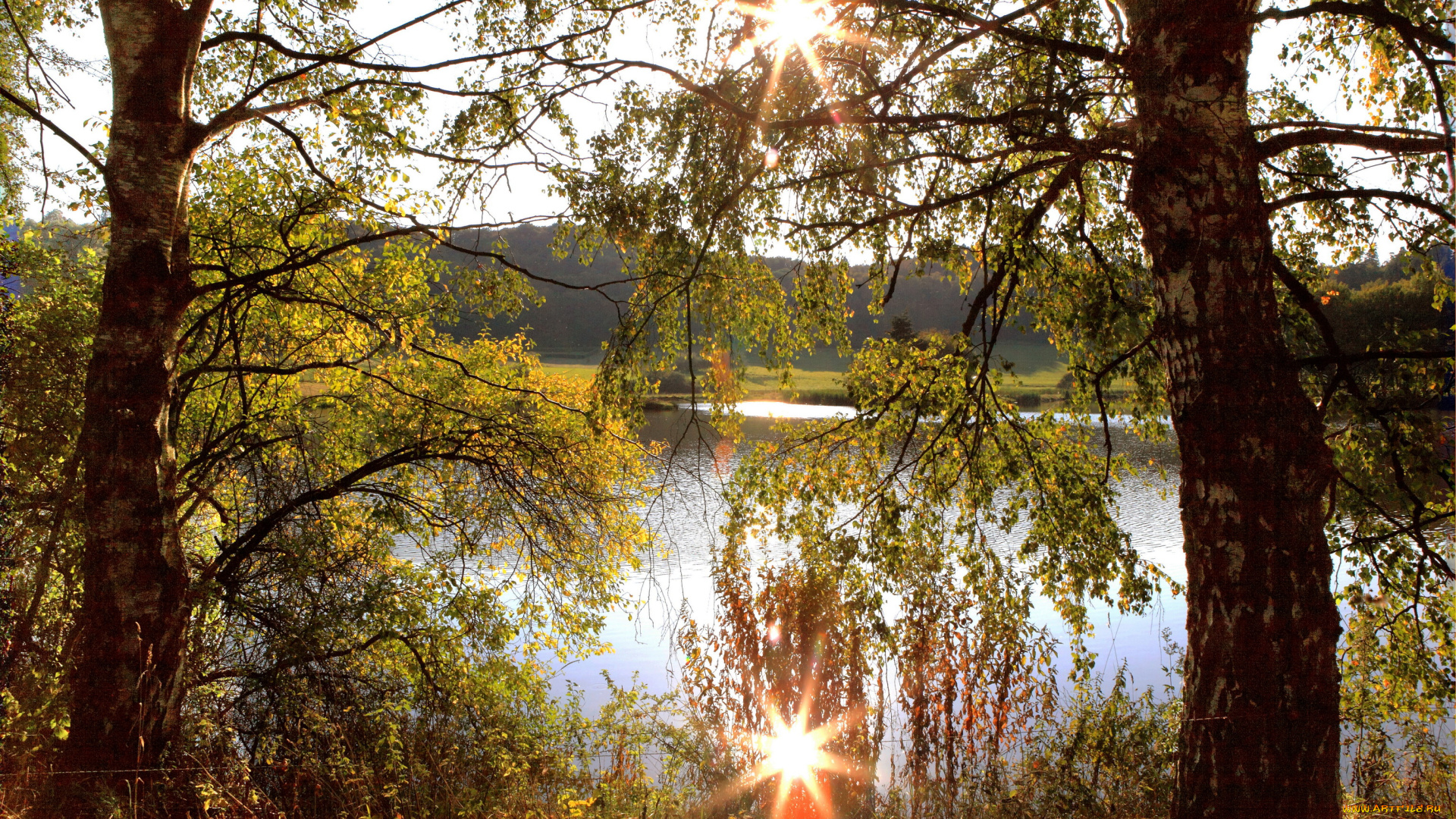германия, бос, природа, реки, озера, река, деревья, лучи, солнца
