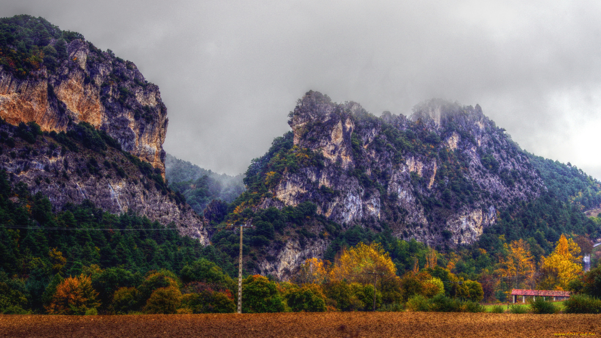 испания, бургос, природа, горы, лес, дорога