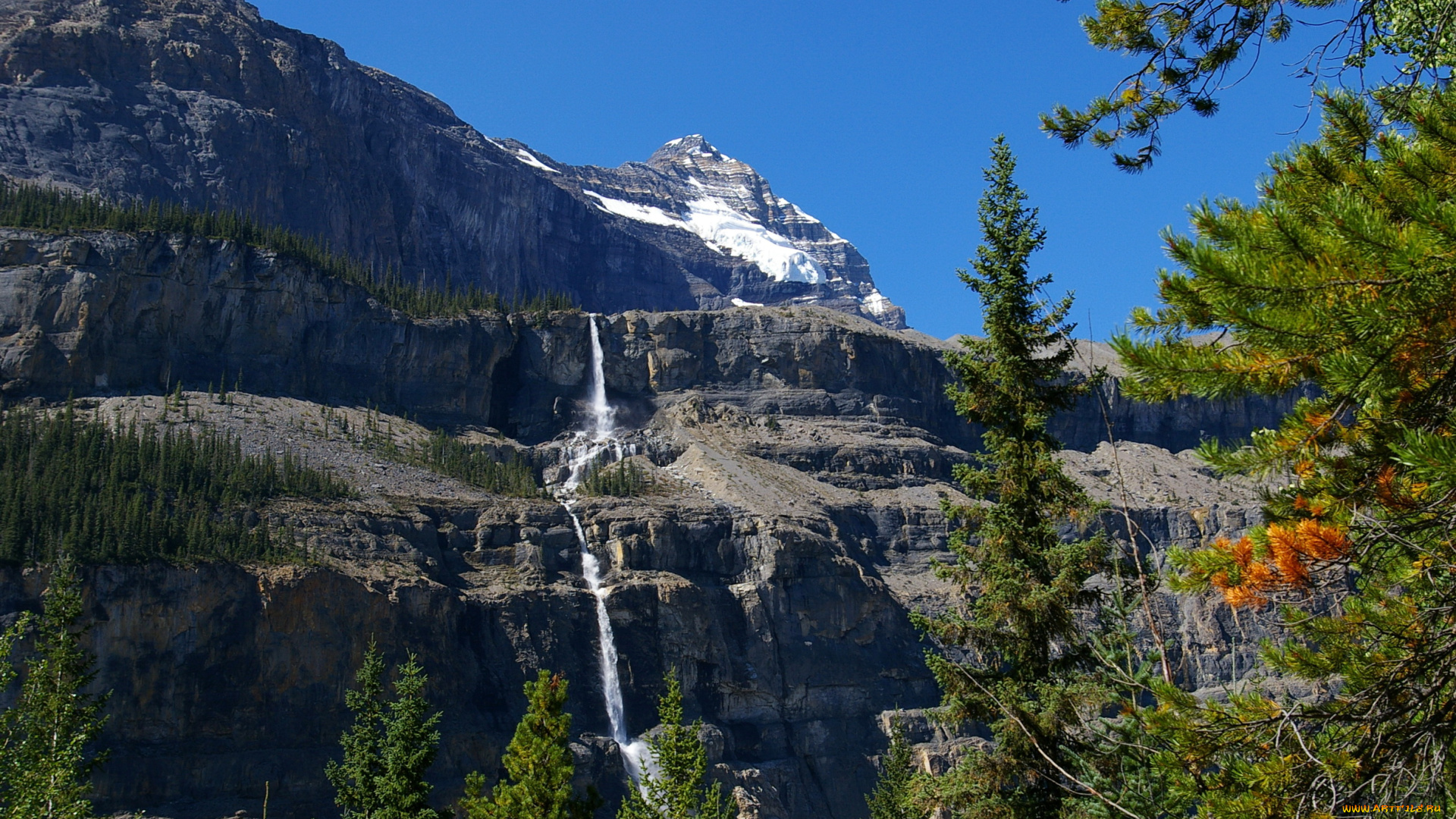 mt, robson, provincial, park, канада, природа, горы, парк, лес