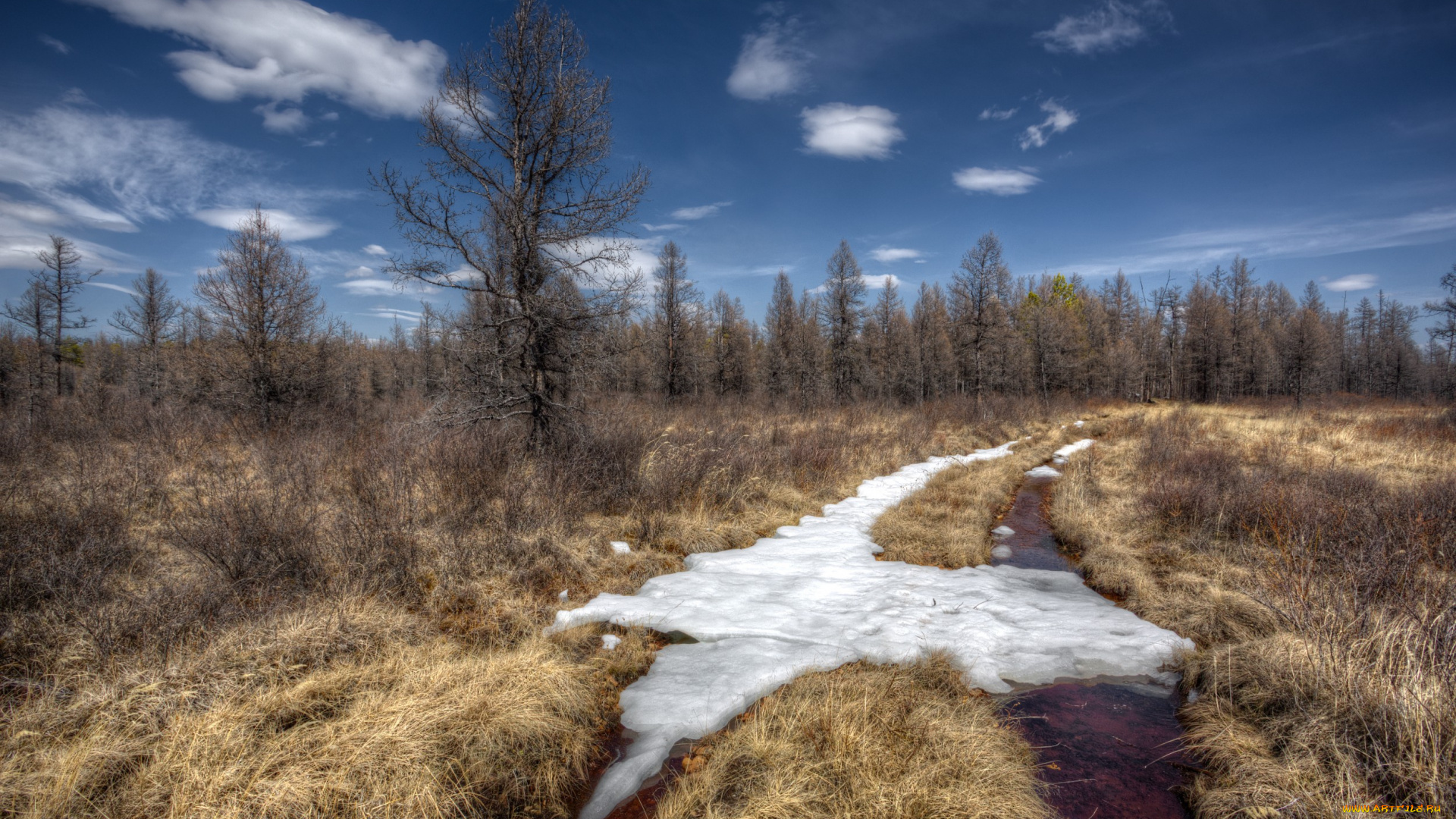 природа, дороги, осель, поле, колея, лес, трава, облака, снег