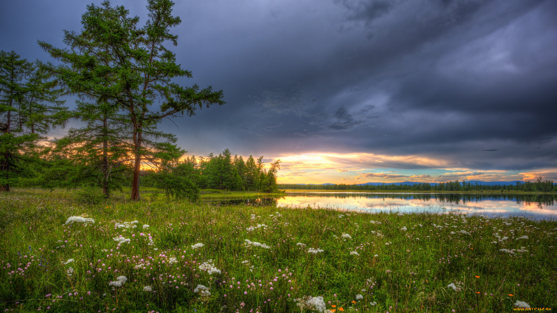 природа, луга, луг, трава, озеро, тучи, деревья, цветы
