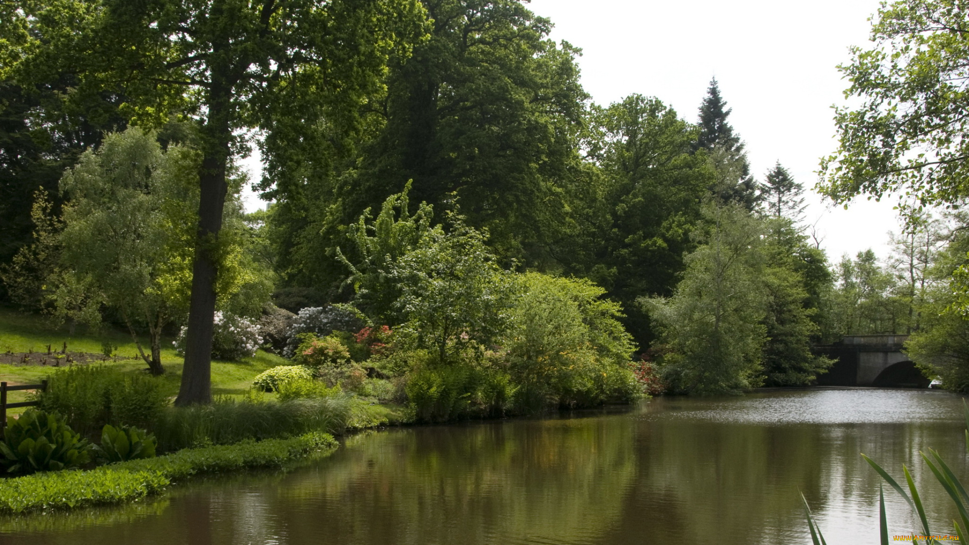 природа, парк, кусты, деревья, река