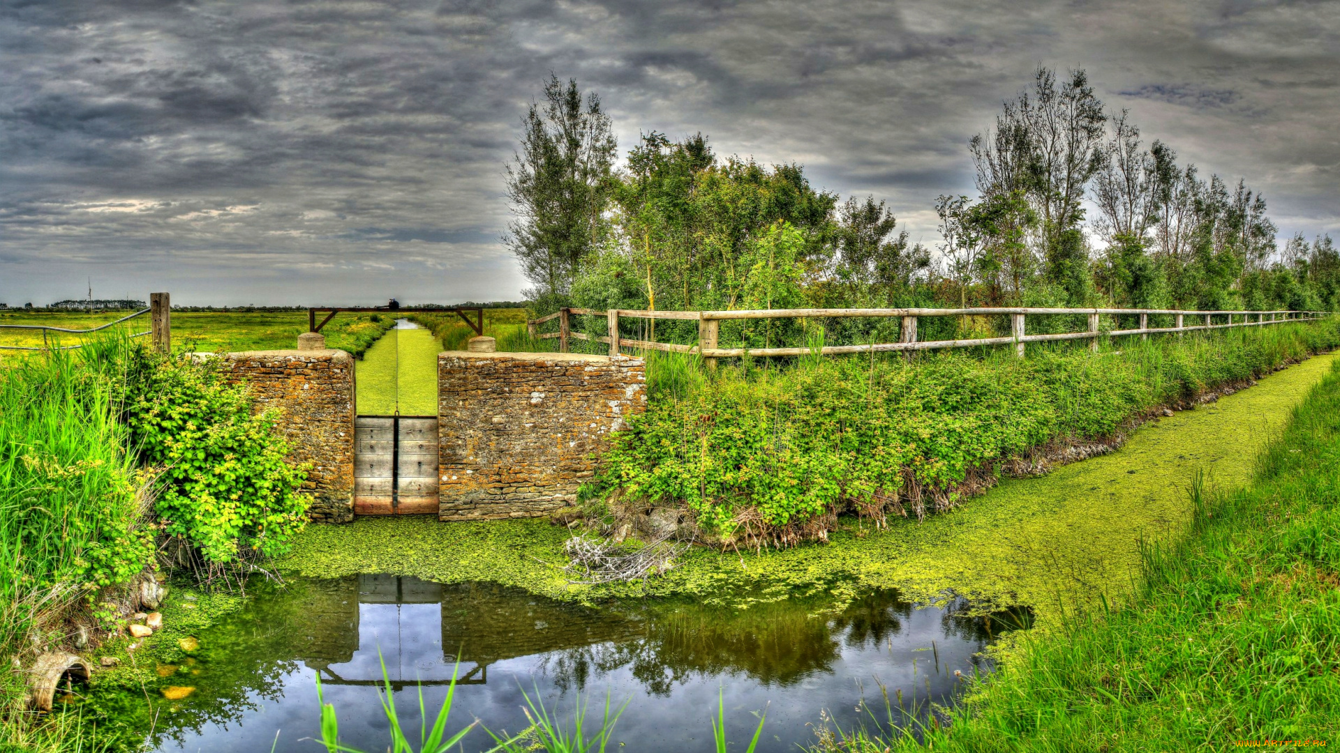 природа, пейзажи, дорога, поле, деревья, трава, забор, лужа