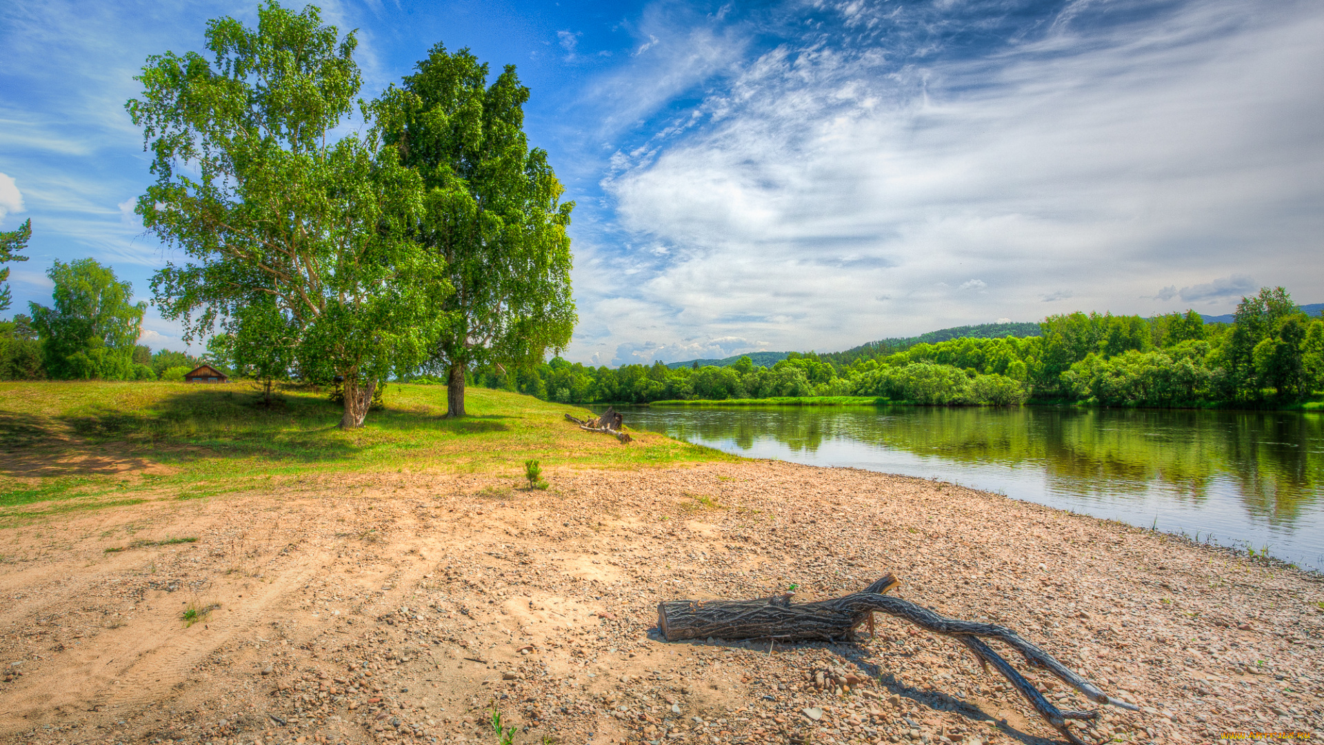 природа, реки, озера, лес, река, пляж, коряга