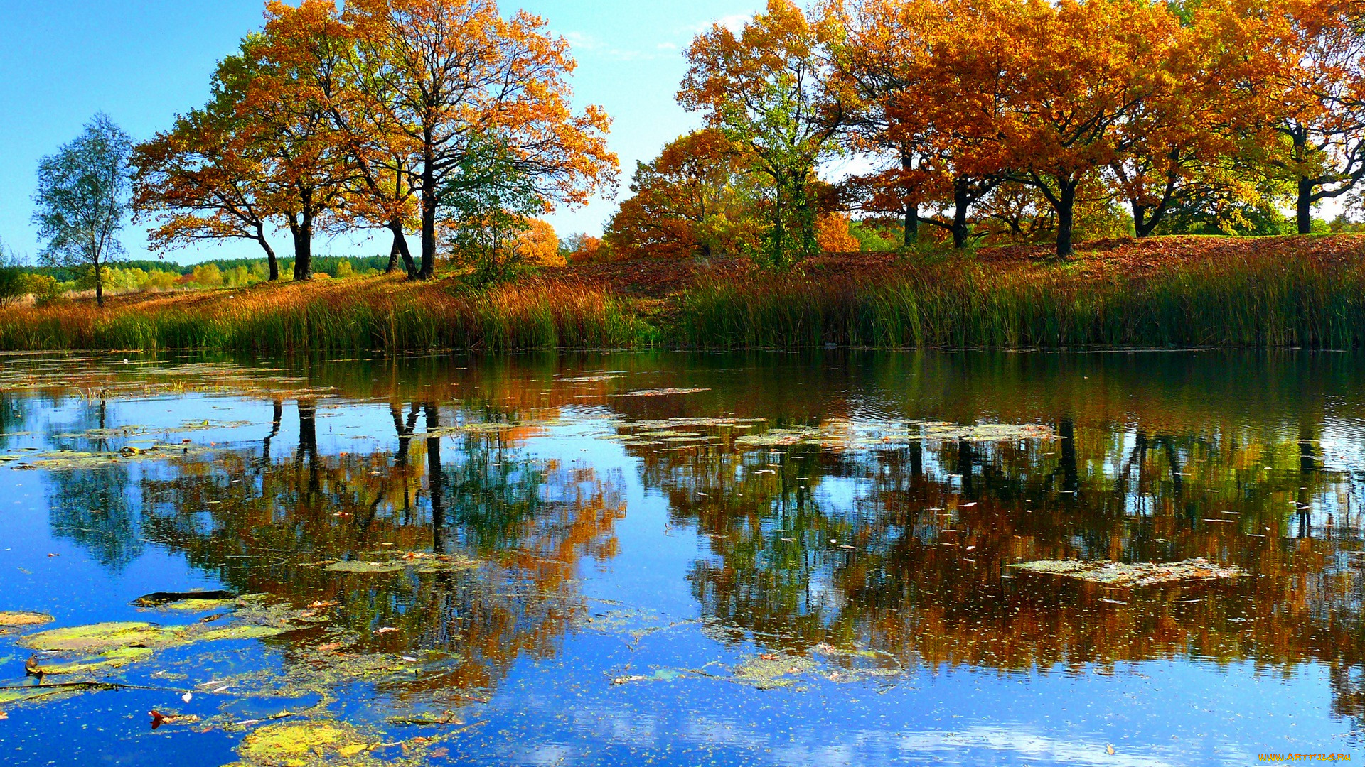 природа, реки, озера, осень