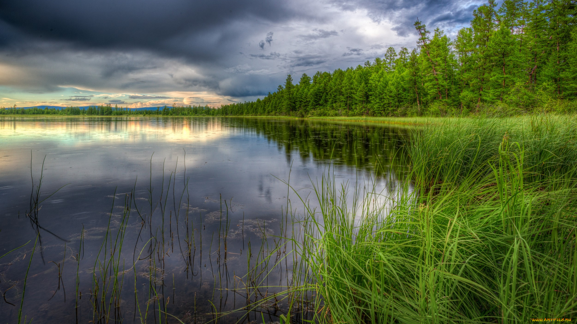 природа, реки, озера, озеро, лес, тучи, трава