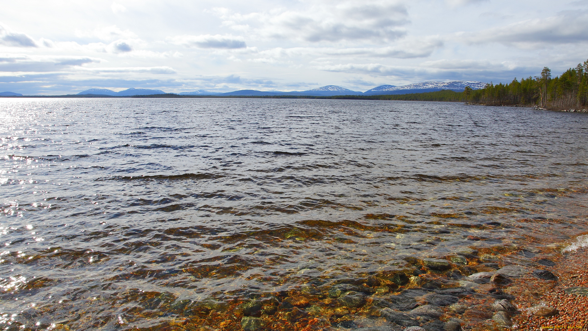 природа, реки, озера, побережье, река