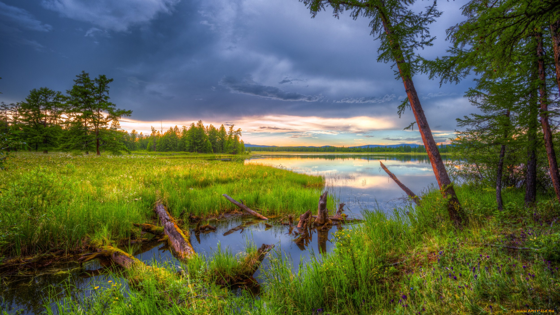 природа, реки, озера, река, озеро, лес, трава, коряги, тучи