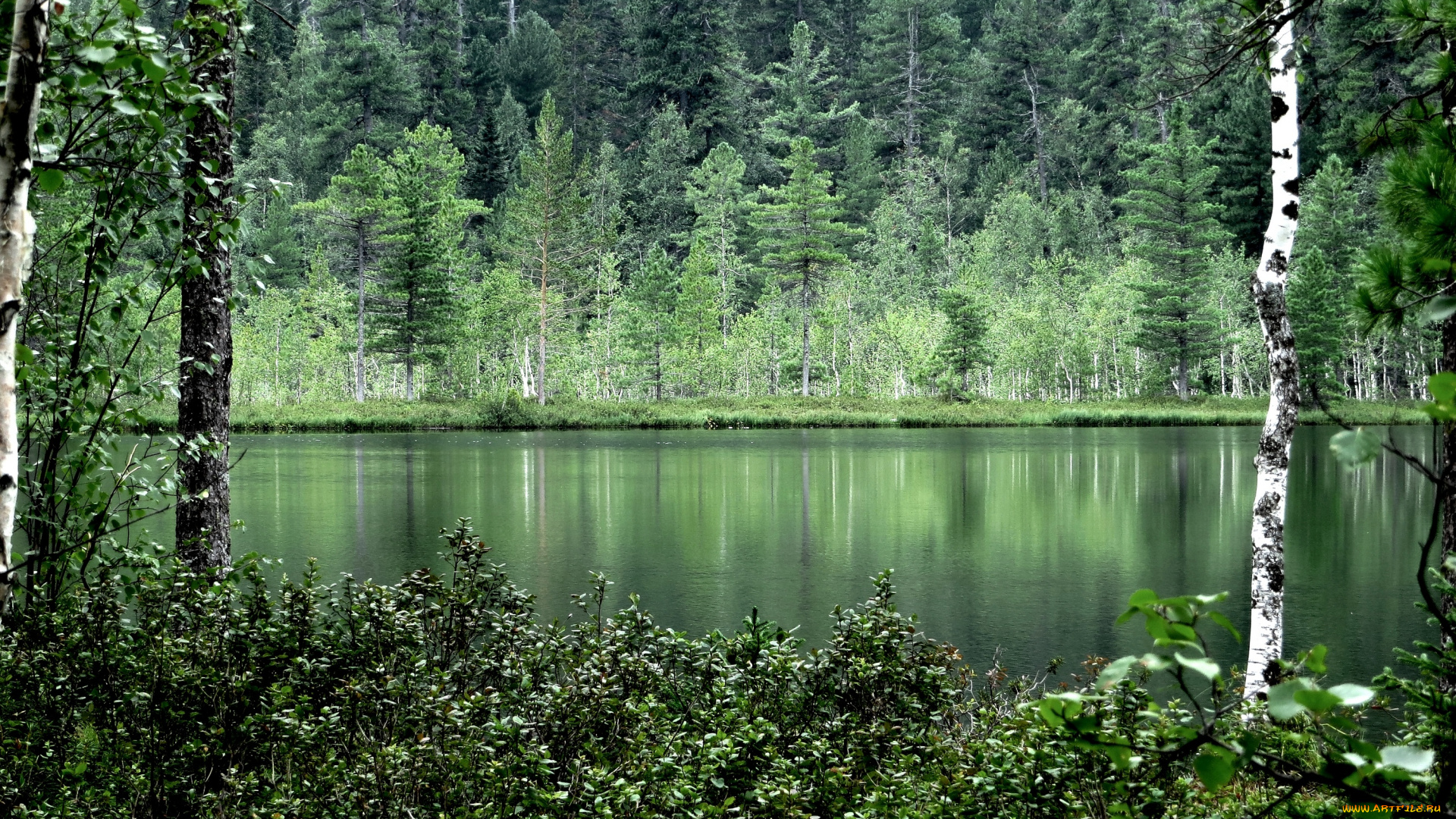 природа, реки, озера, зелень