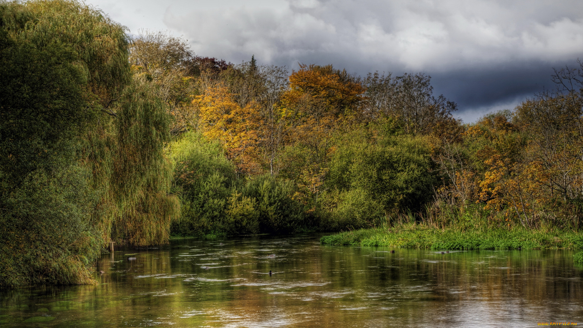 река, itchen, hampshire, природа, реки, озера, берега, лес
