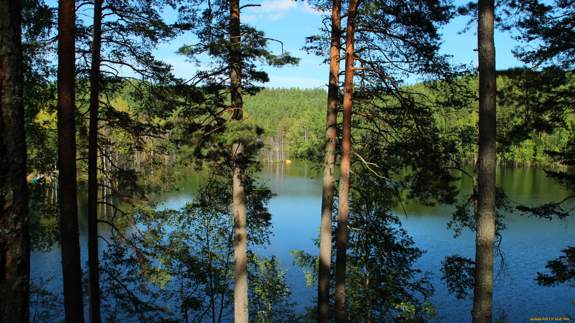 семиозерье, карельский, перешеек, природа, реки, озера, берег, лес, озеро