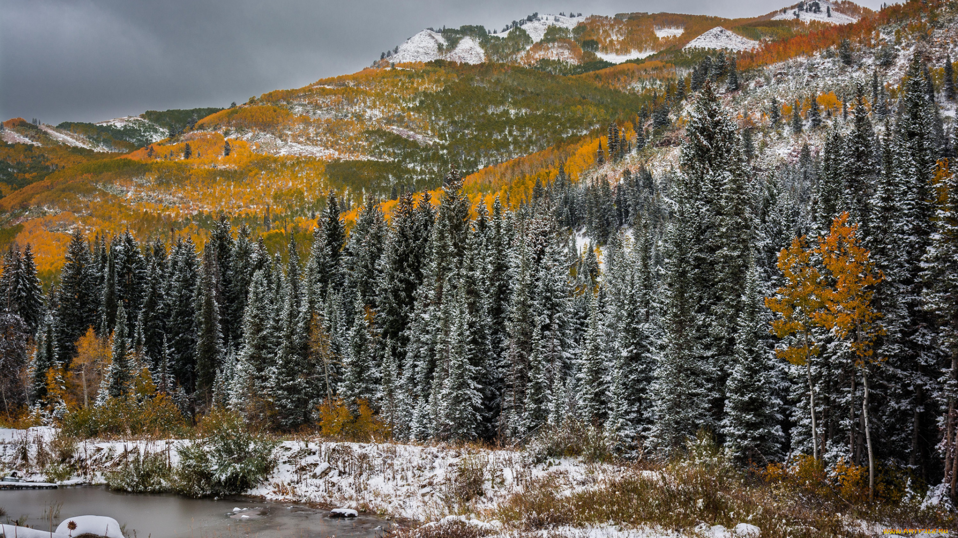 utah, природа, горы, осень, снег, водоём, юта, деревья