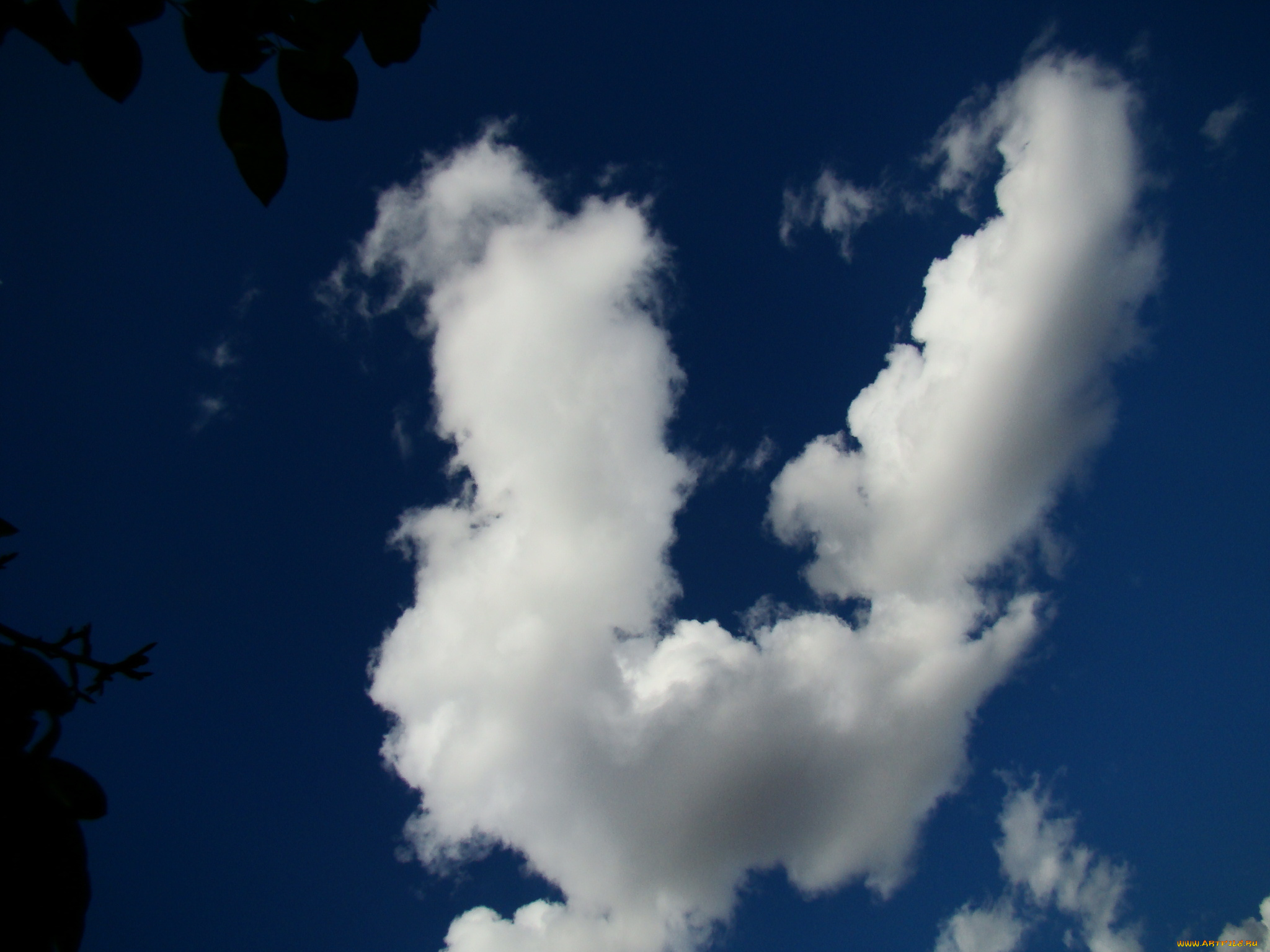 природа, облака