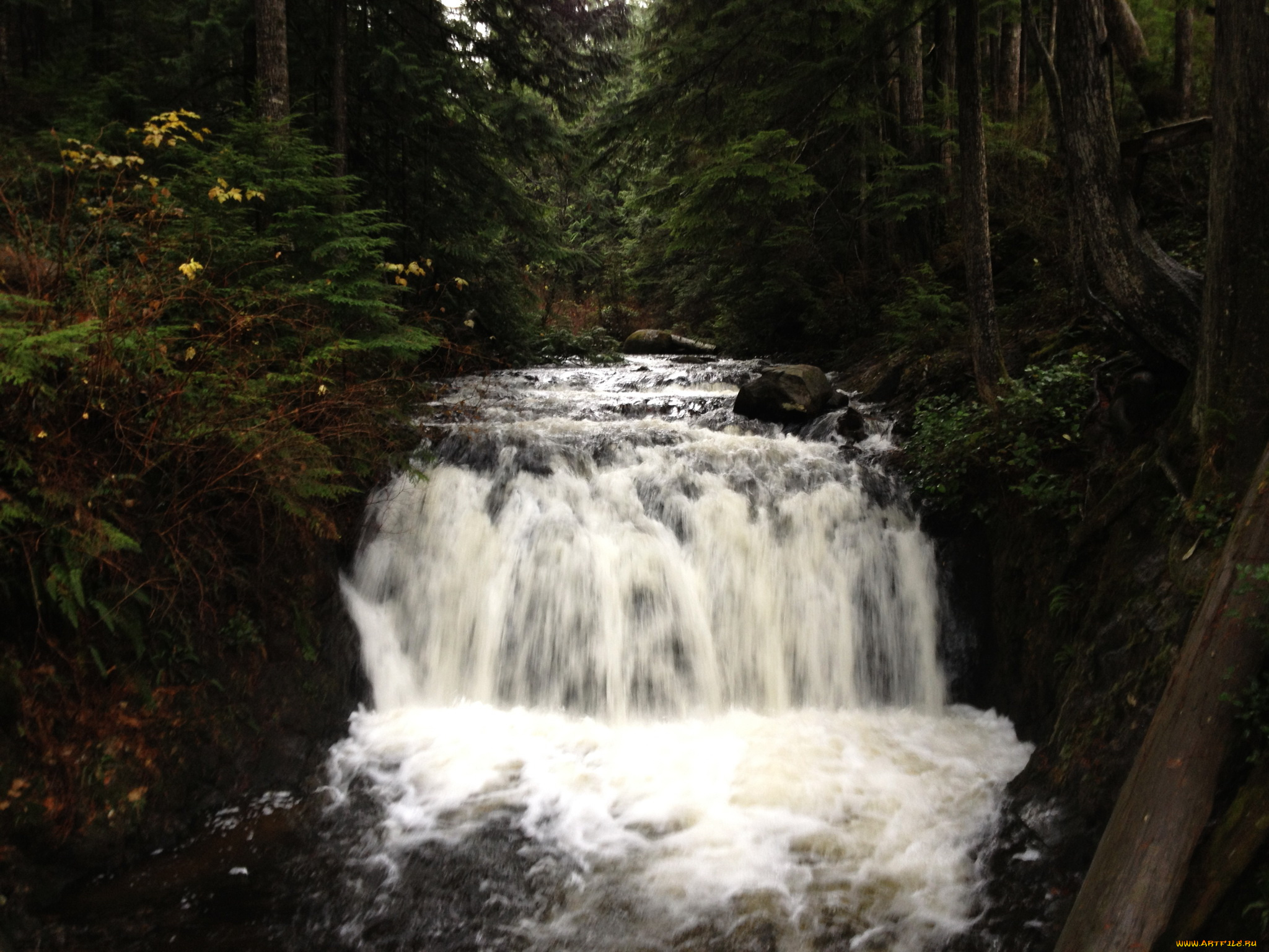 rolley, lake, канада, природа, водопады, лес, озеро, водопад