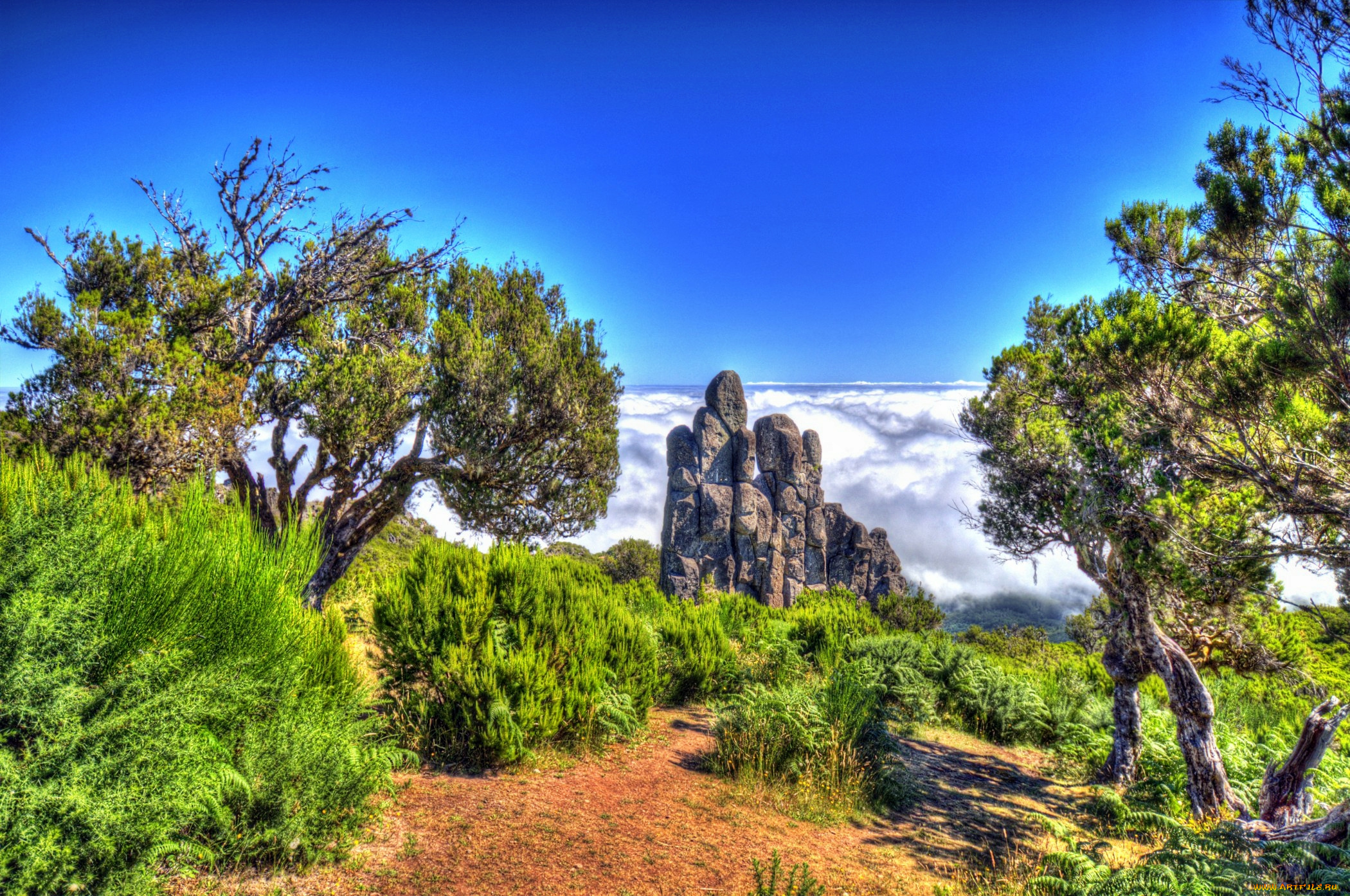 португалия, madeira, природа, пейзажи, горы, плато, трава, деревья, тропа, скала