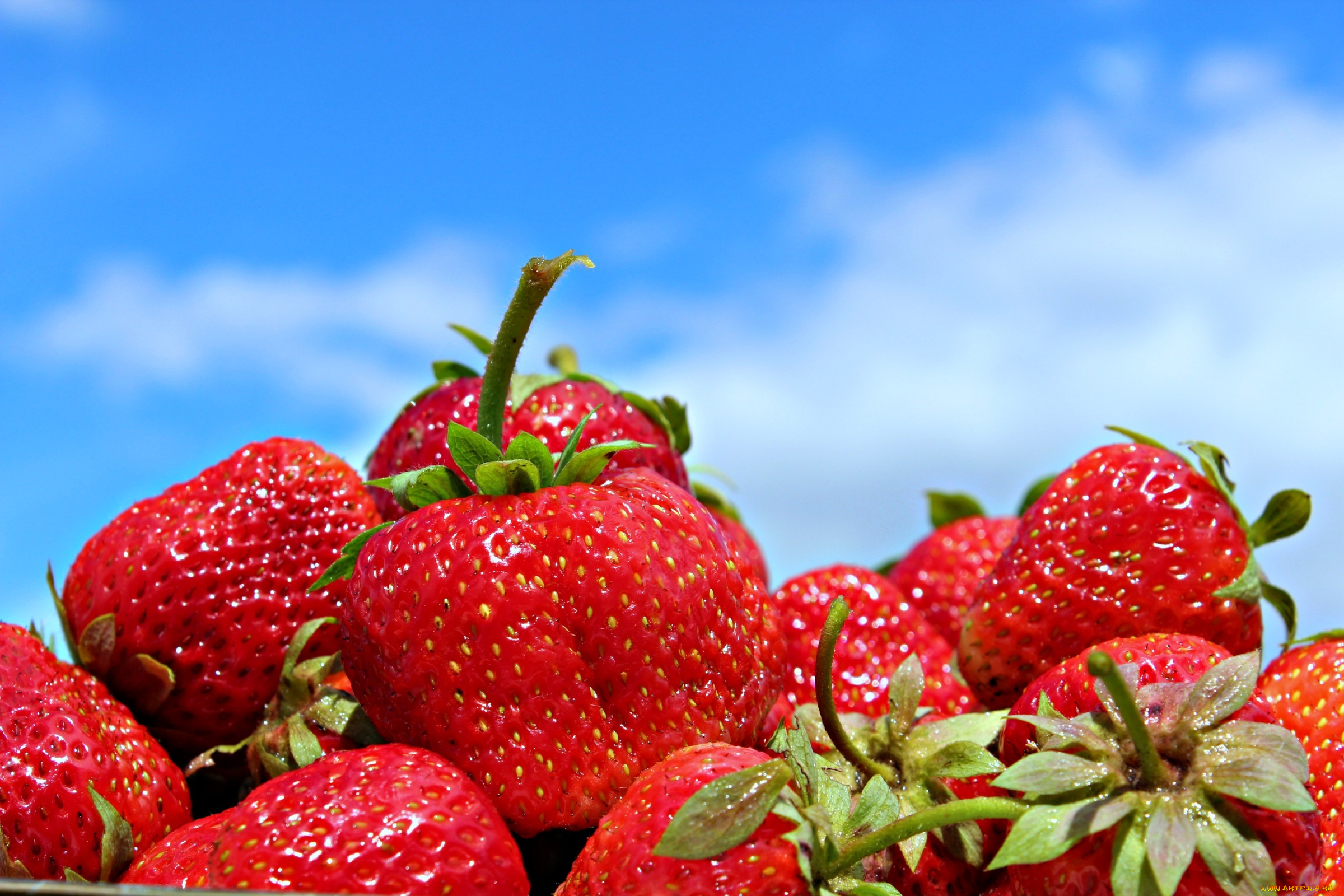 еда, клубника, земляника, небо, ягоды