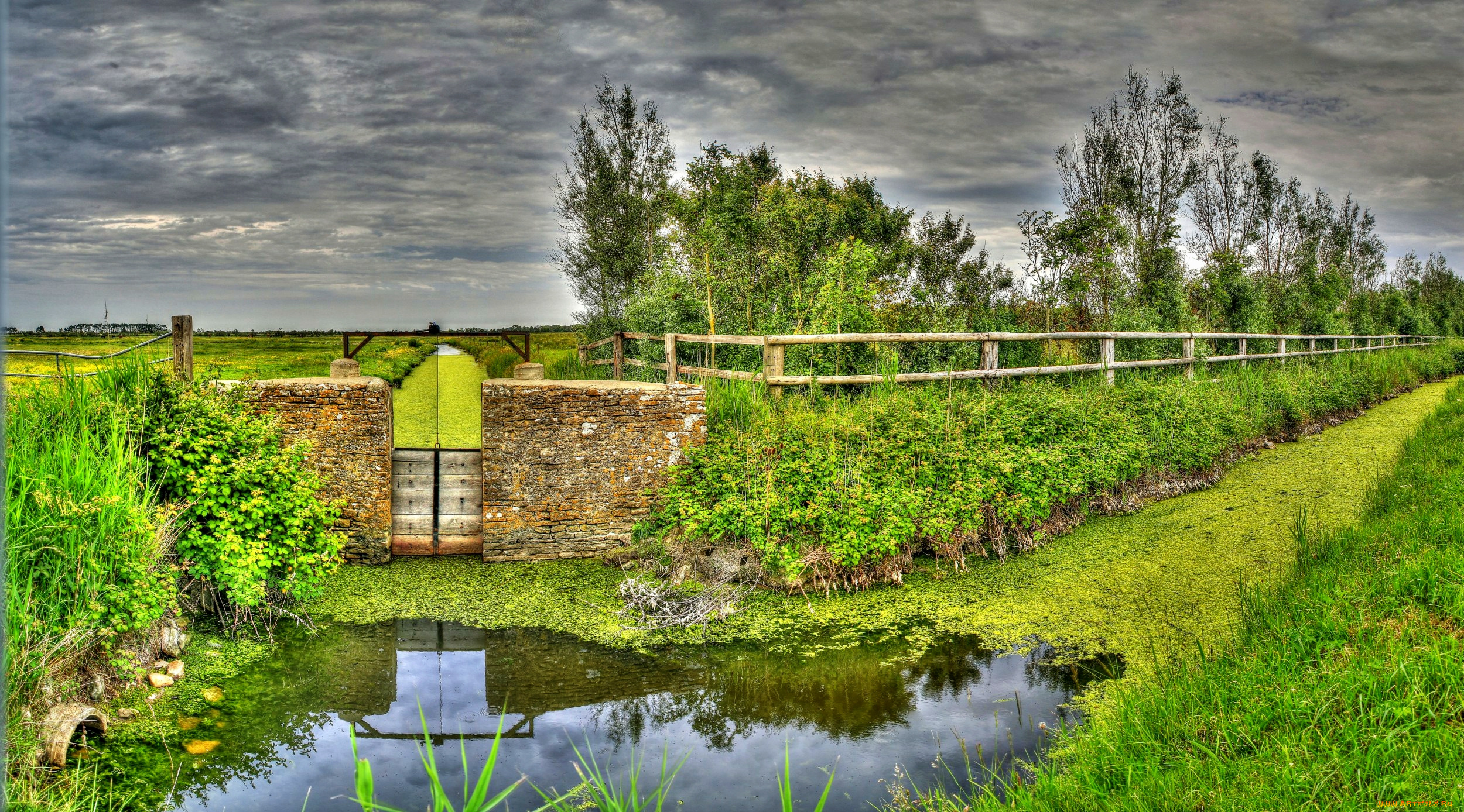 природа, пейзажи, дорога, поле, деревья, трава, забор, лужа