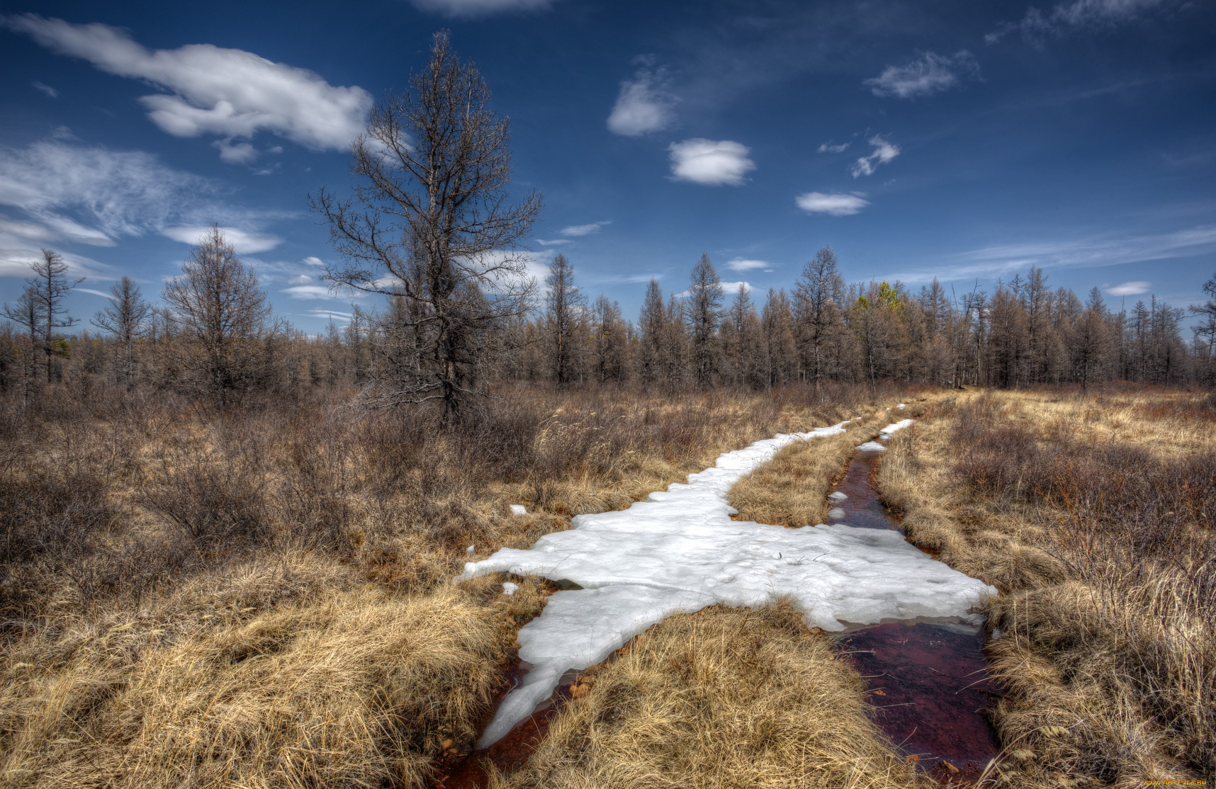 природа, дороги, осель, поле, колея, лес, трава, облака, снег