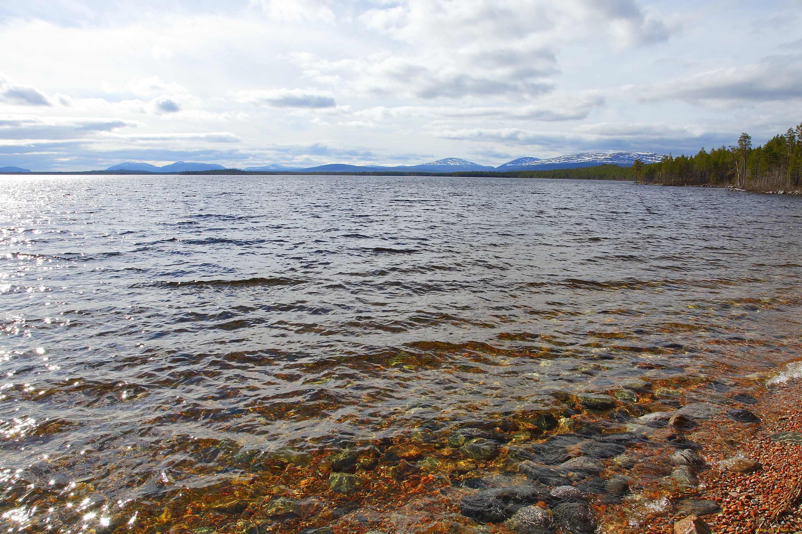 природа, реки, озера, побережье, река