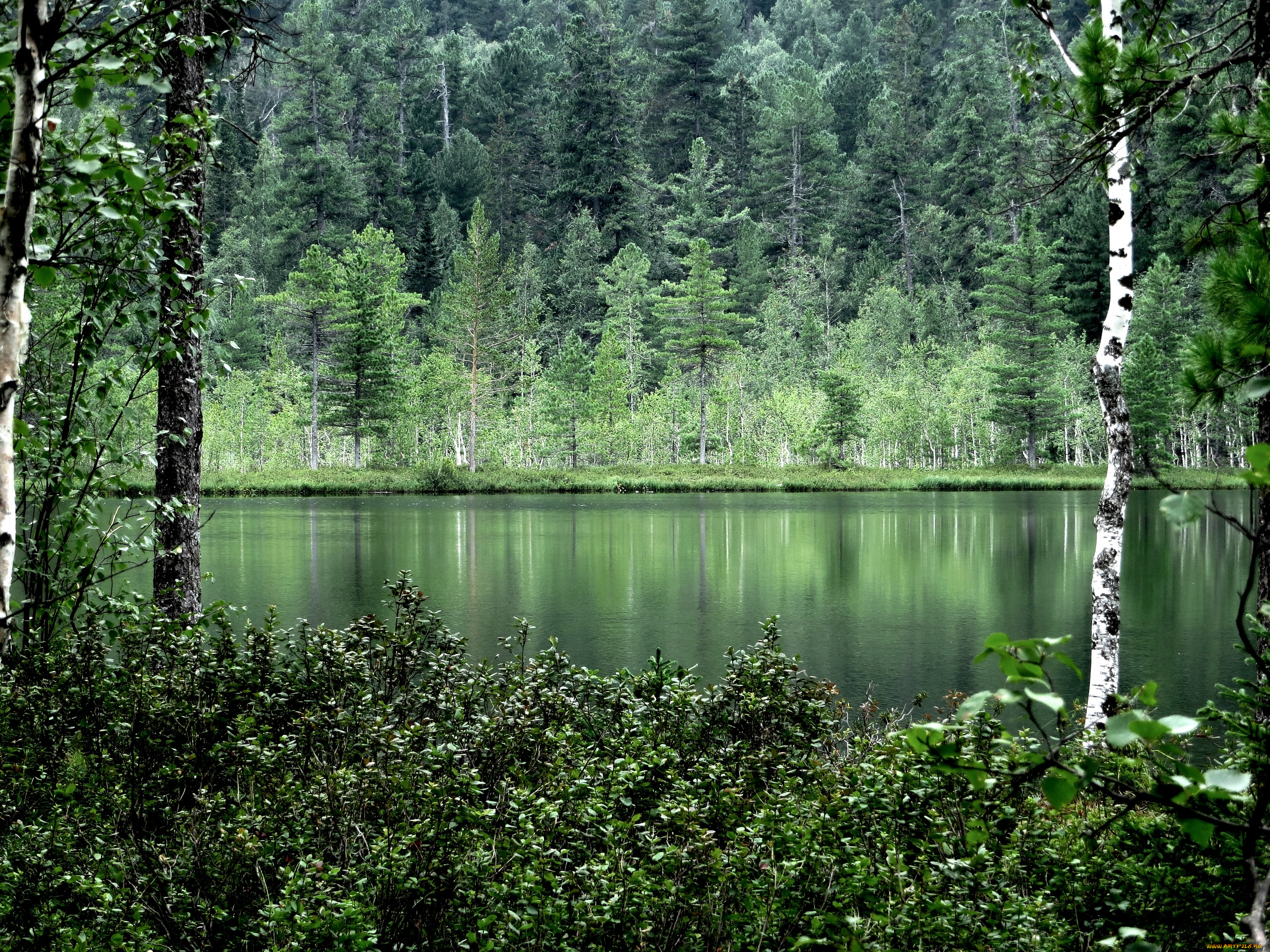 природа, реки, озера, зелень