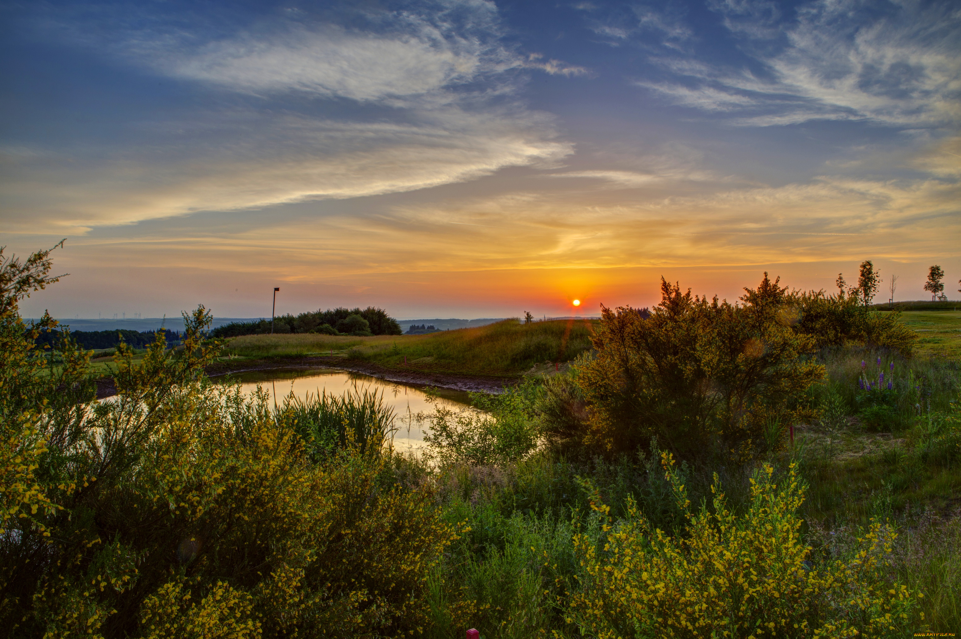 германия, эдигер, эллер, природа, восходы, закаты, трава, пейзаж, пруд, закат