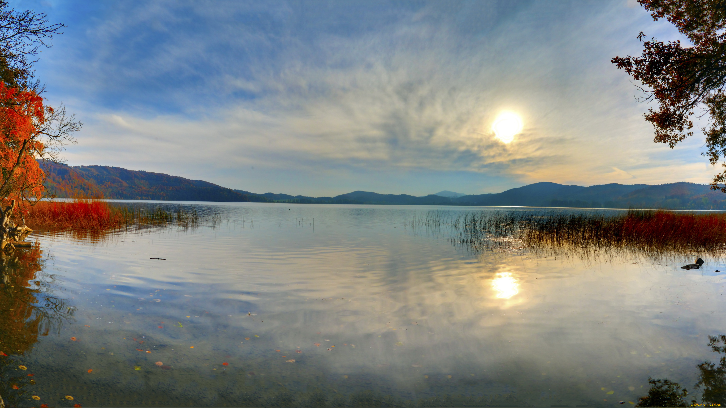 германия, глес, природа, реки, озера, река, рассвет, камыши, деревья