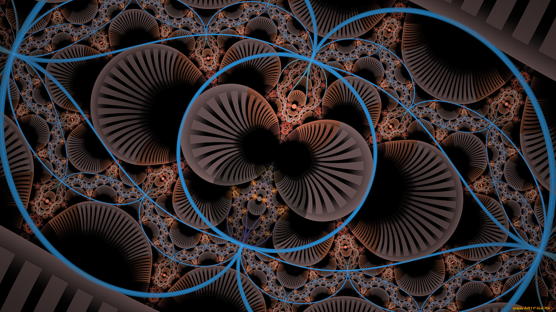 3д, графика, фракталы, , fractal, узор, фон, цвета