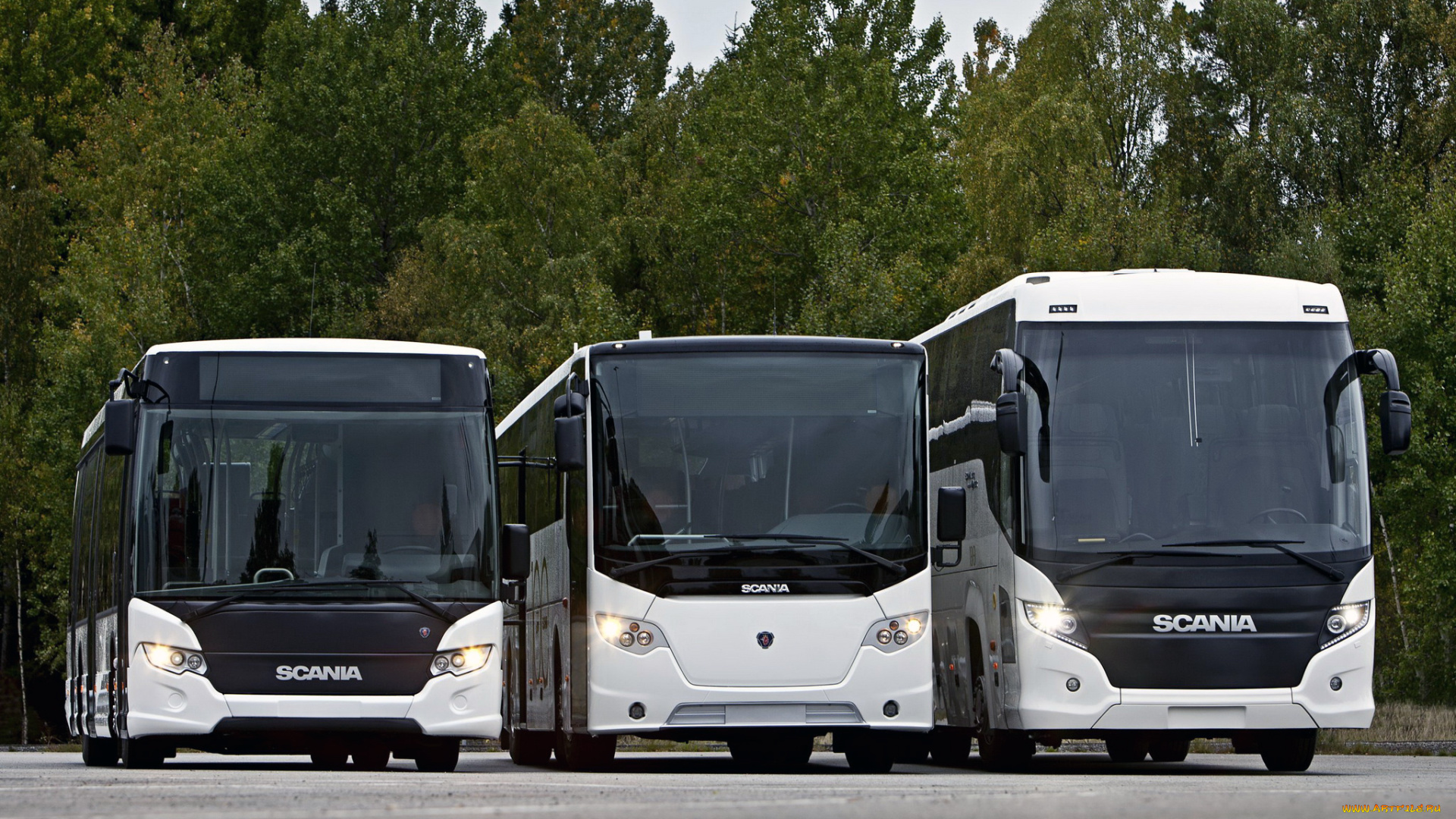 автомобили, автобусы, scania