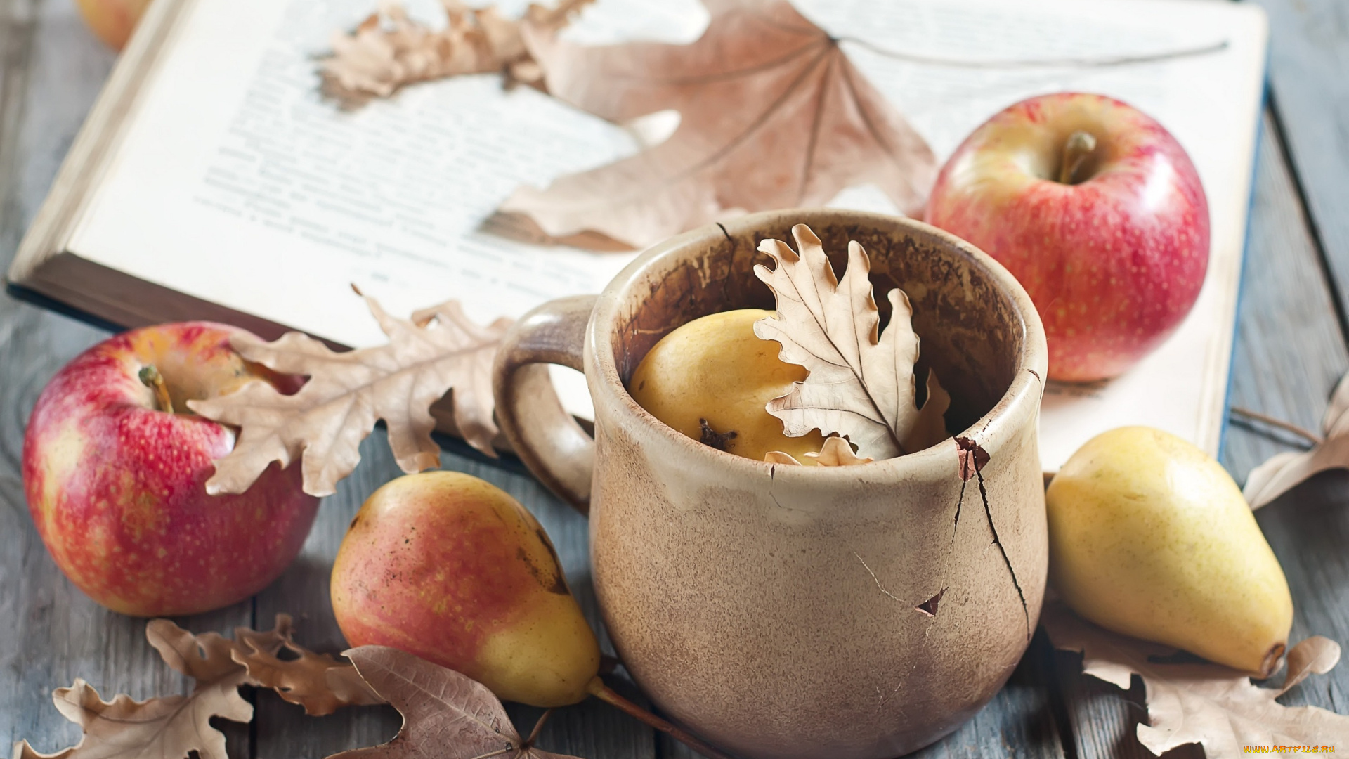 еда, фрукты, , ягоды, листья, груша, яблоки