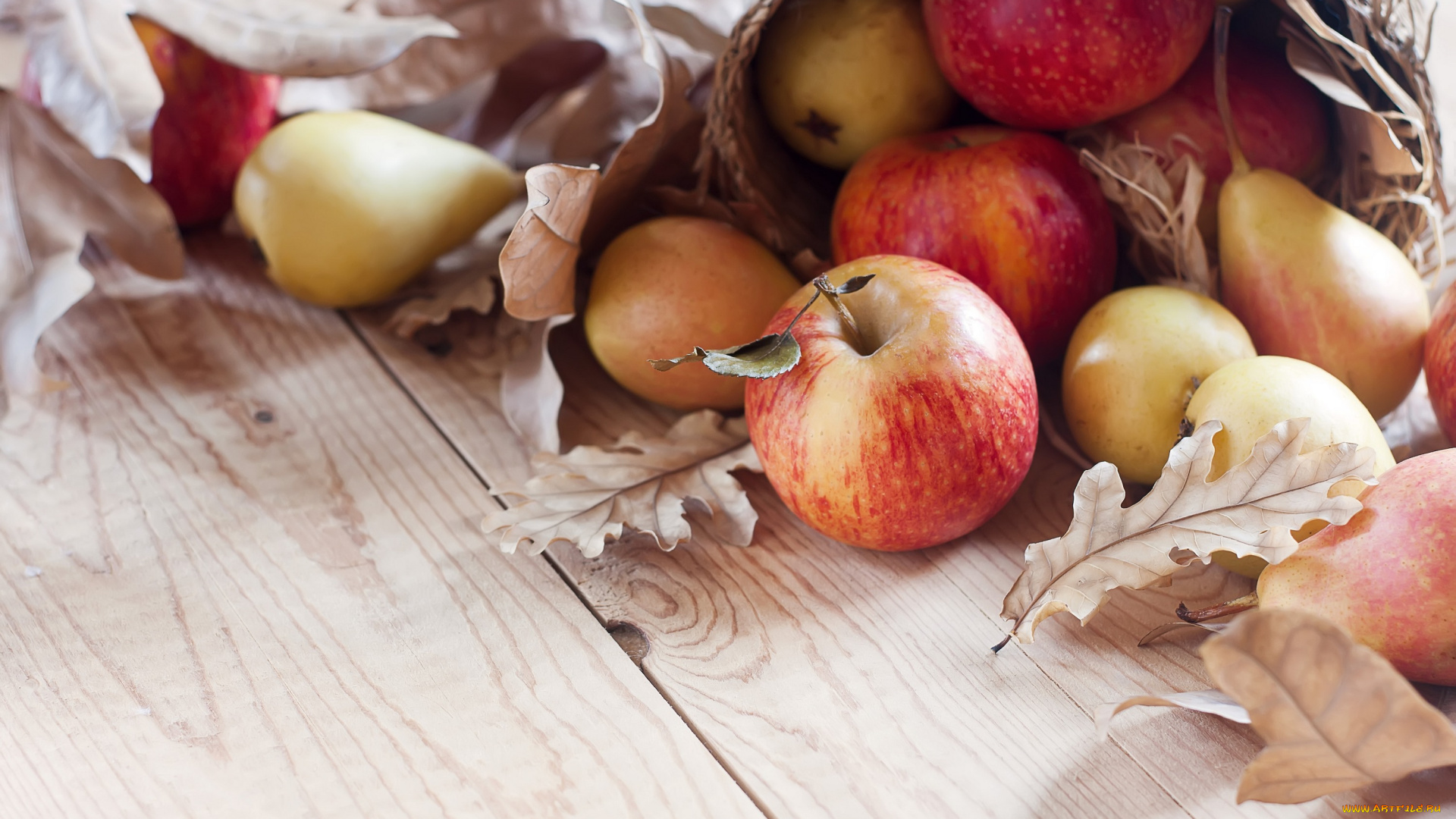 еда, фрукты, , ягоды, листья, груша, яблоки