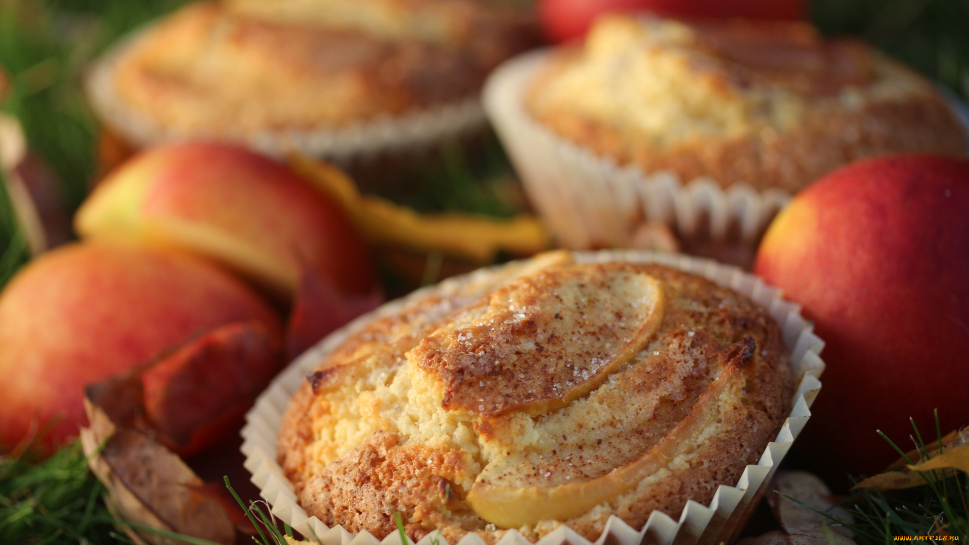 еда, пирожные, , кексы, , печенье, кекс, выпечка, веточки