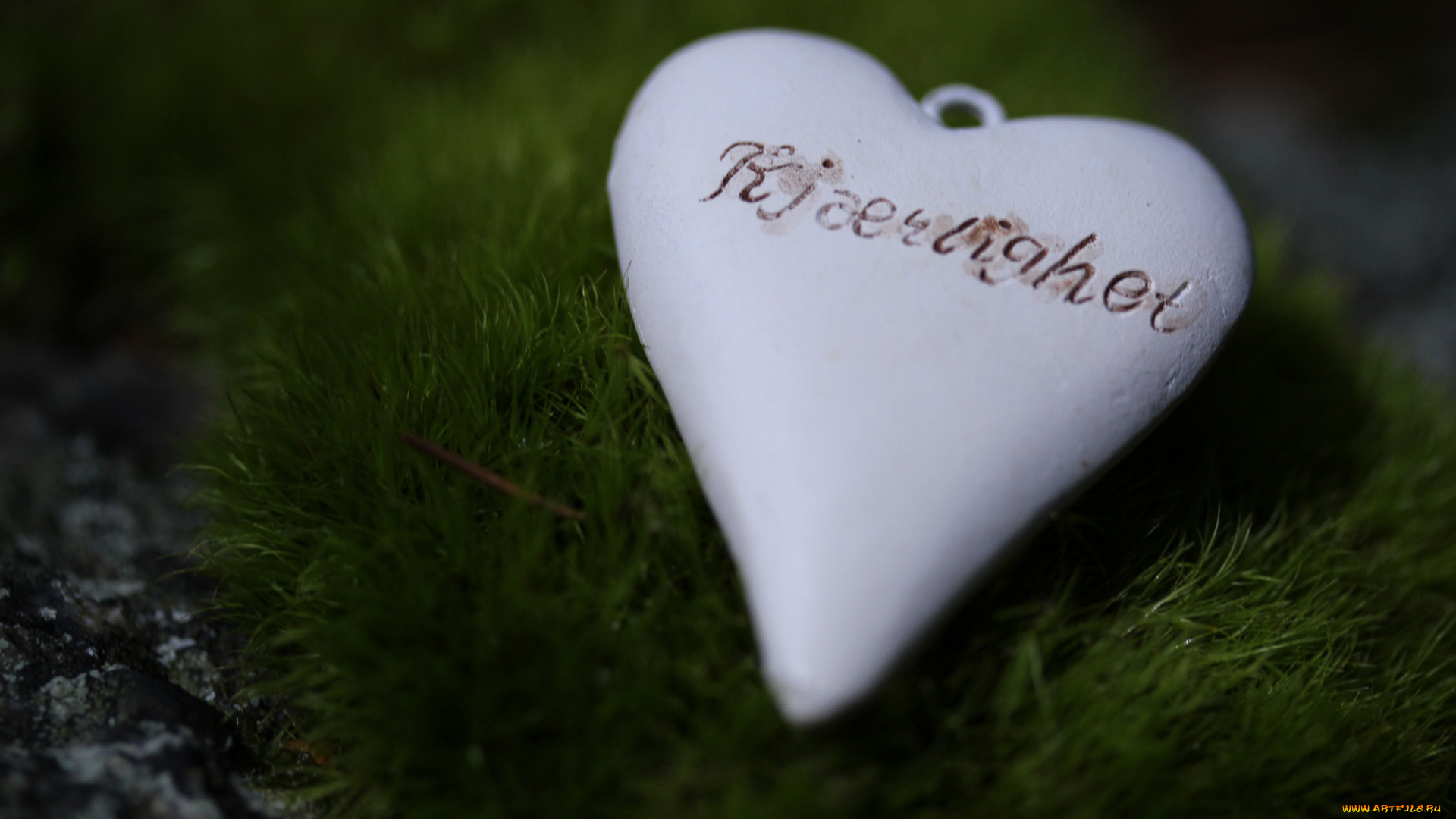 праздничные, день, святого, валентина, , сердечки, , любовь, надпись, сердце, мох, травка