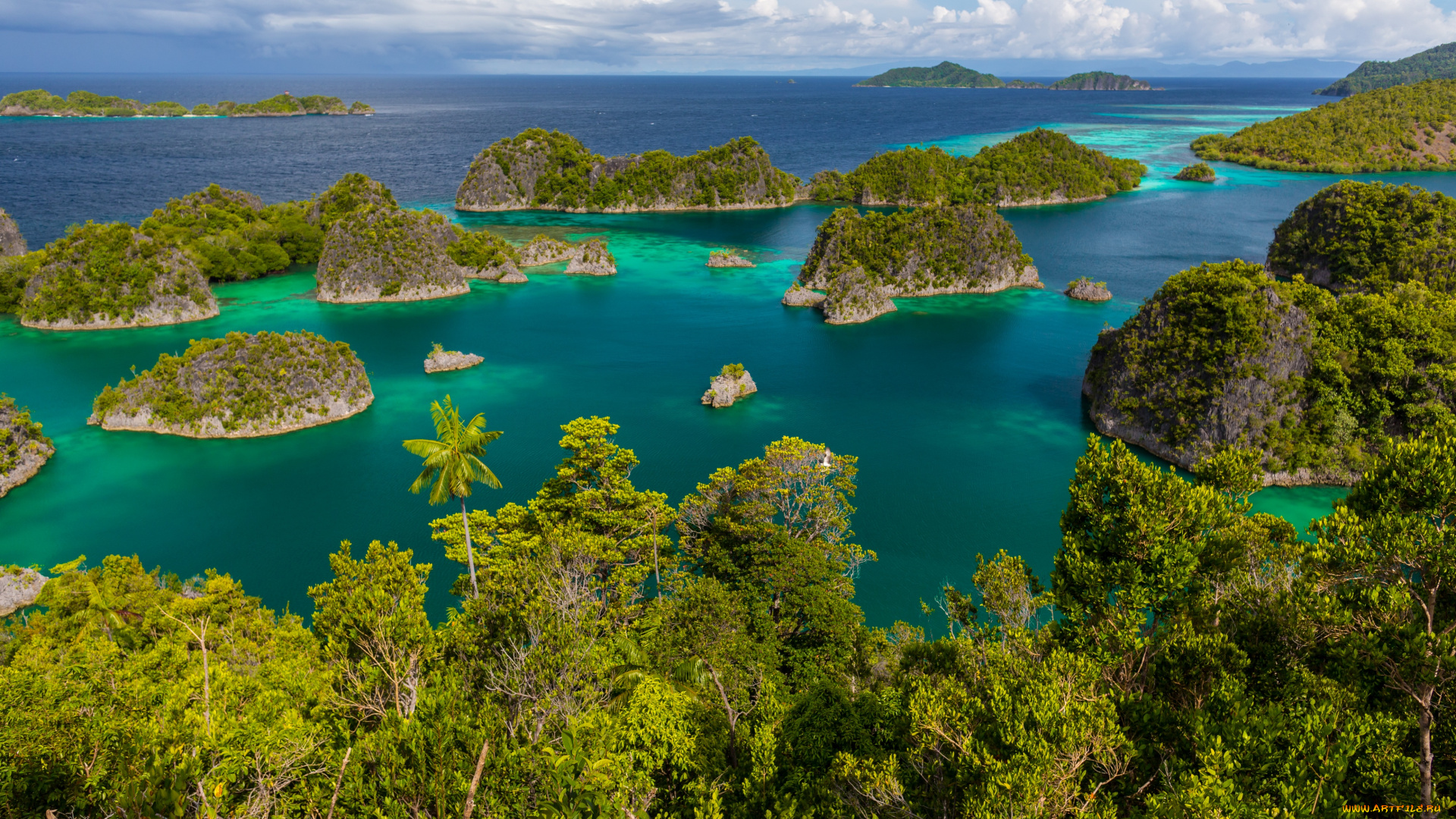 природа, моря, океаны, побережье, океан