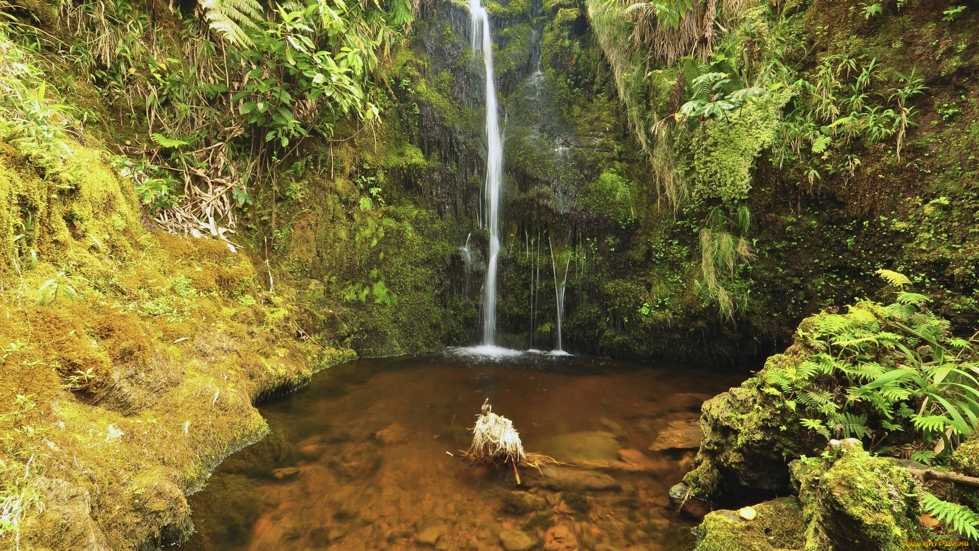 природа, водопады, скала, ручей