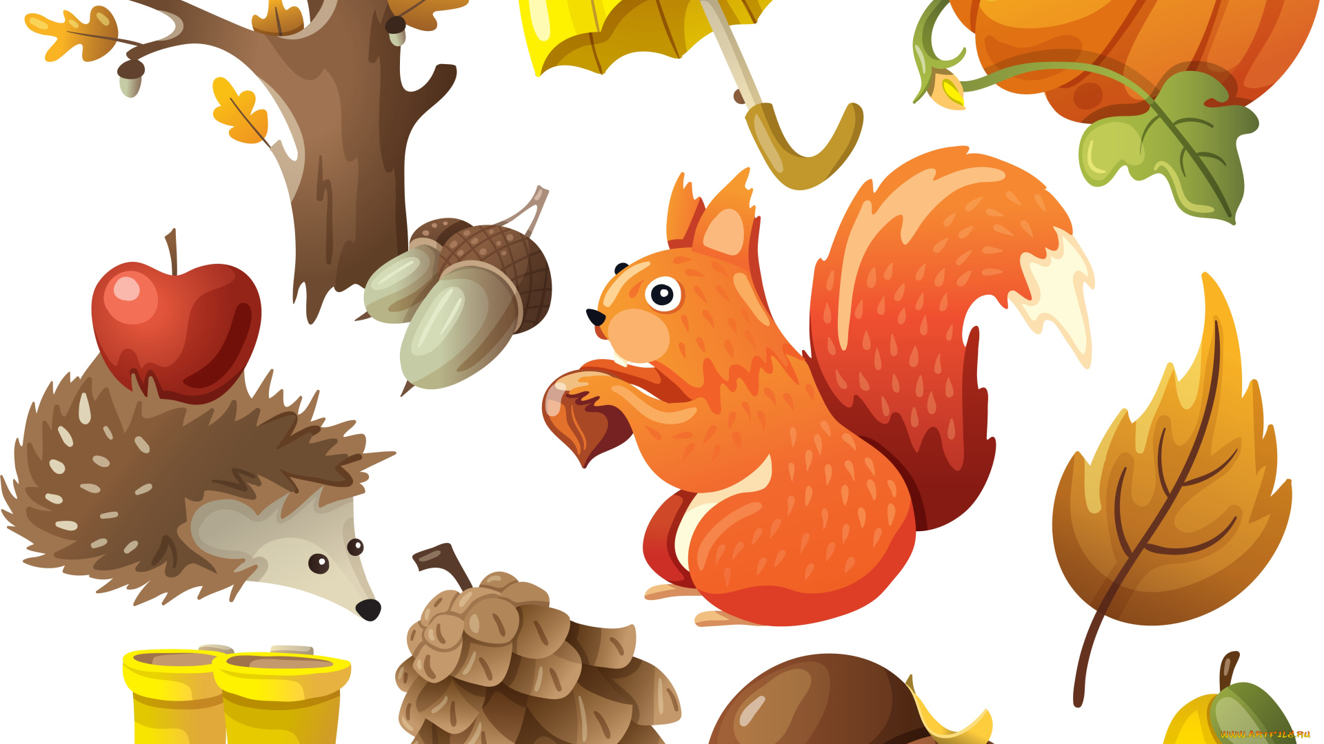 векторная, графика, животные, белка, осень, фон, желудь, тыква, яблоко, шишка, листья, еж, дерево, зонтик