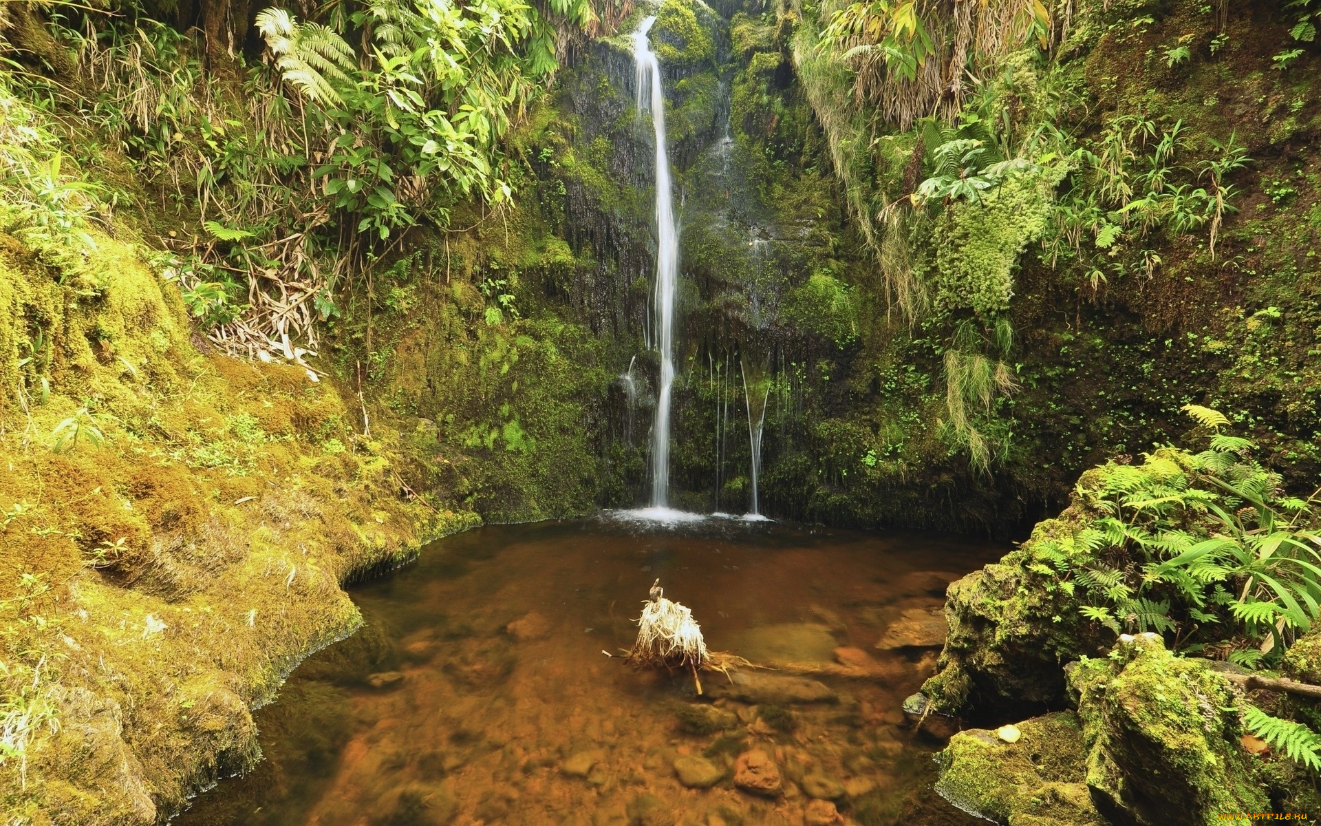 природа, водопады, скала, ручей