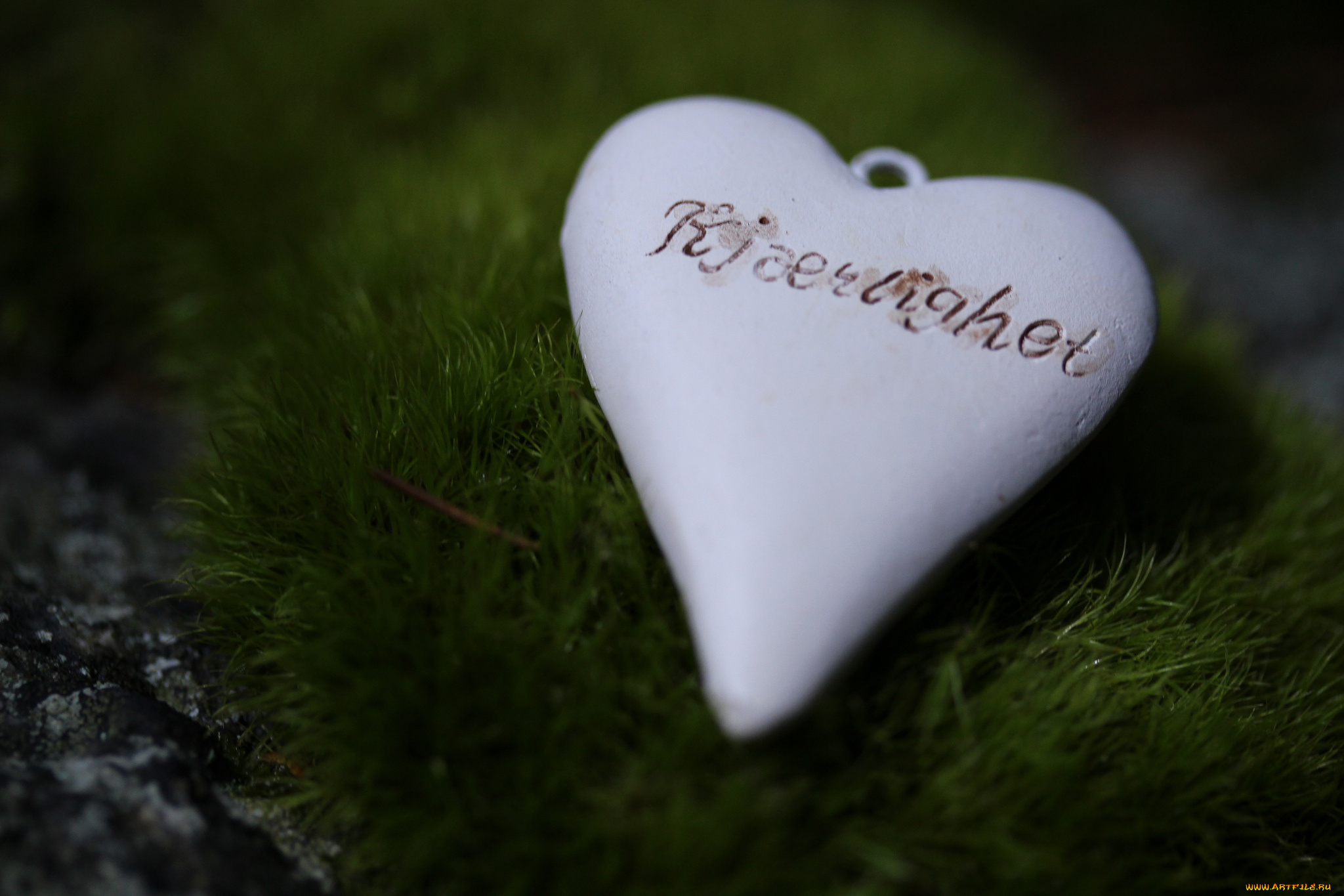 праздничные, день, святого, валентина, , сердечки, , любовь, надпись, сердце, мох, травка