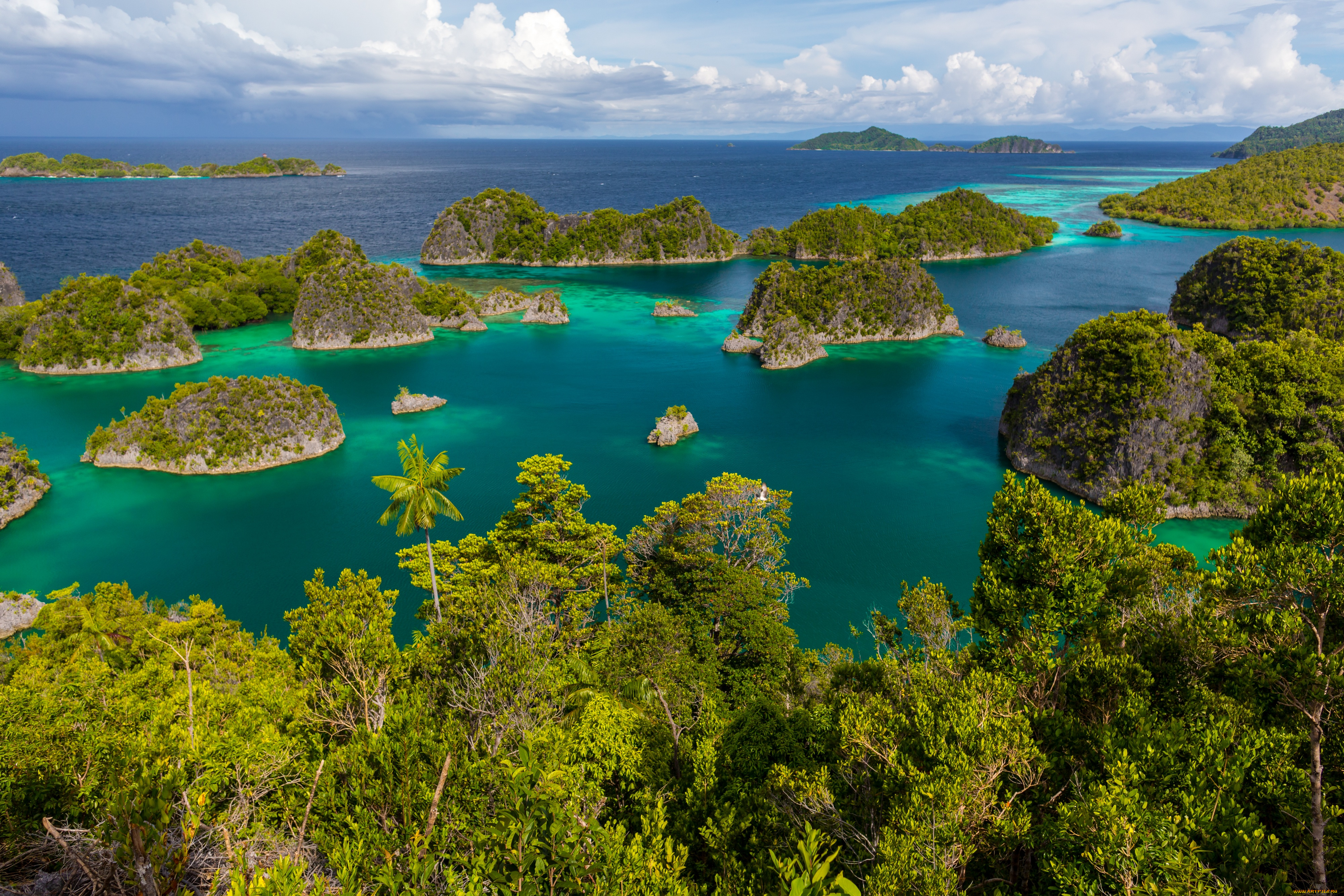 природа, моря, океаны, побережье, океан