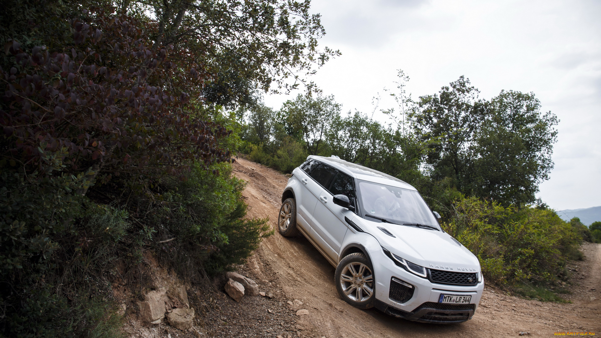 автомобили, range, rover, evoque, range, rover, 2015г, dynamic, hse