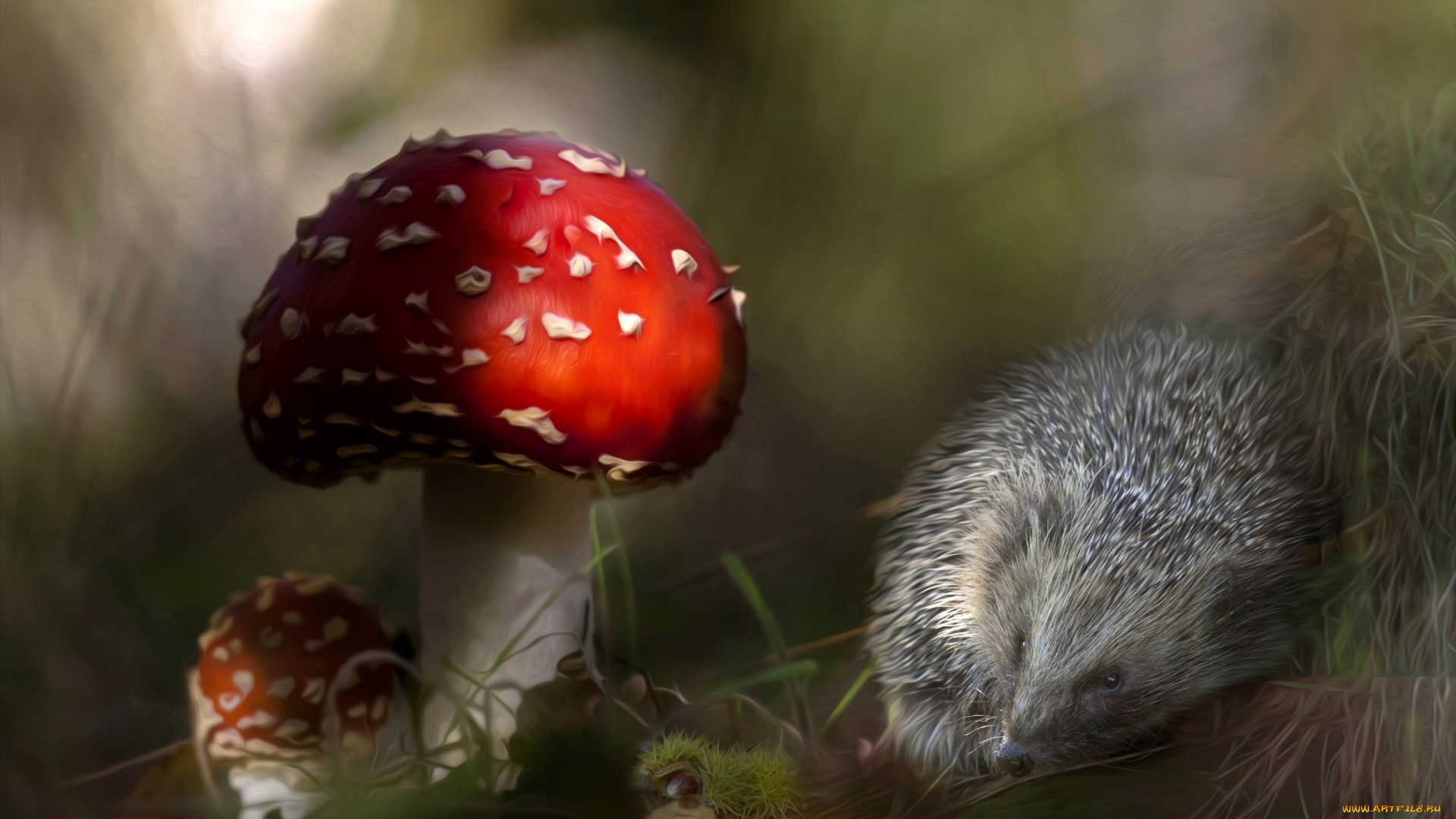 разное, компьютерный, дизайн, грибы, ёжик, мухомор, ёж, колючки