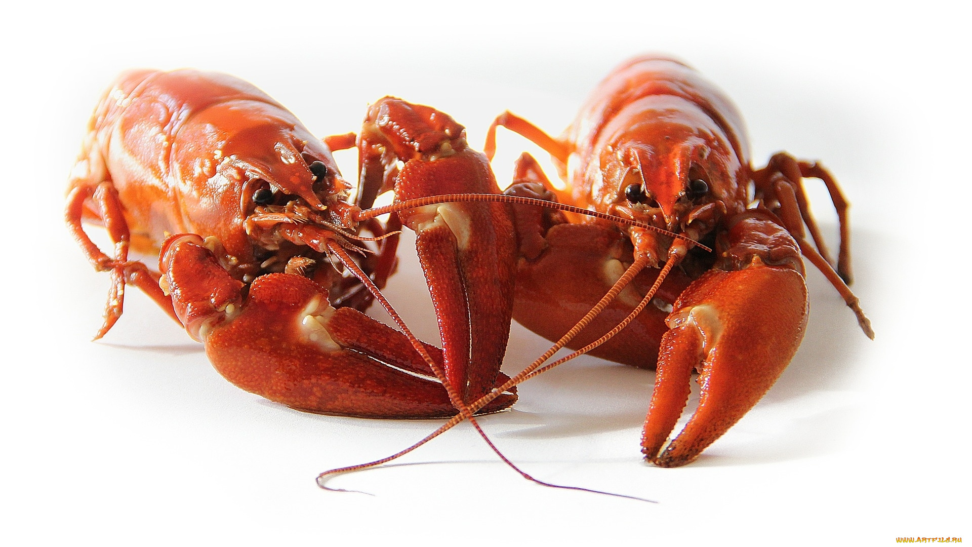 еда, рыба, , морепродукты, , суши, , роллы, раки