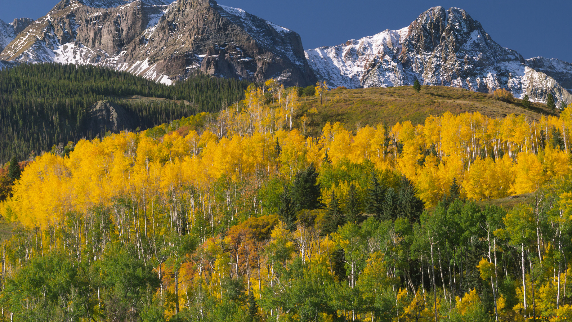 природа, горы, простор